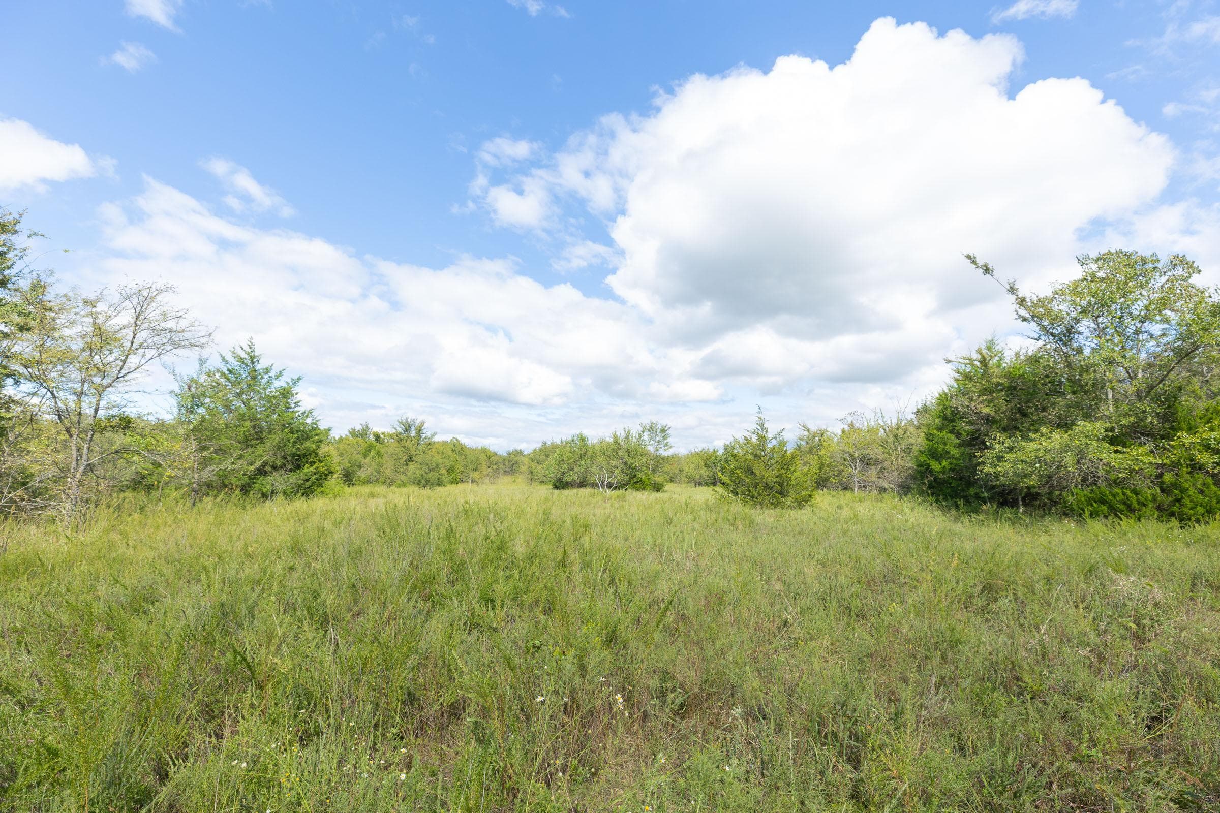  Reserves At Cattail Cove Phase II — Zero Credit Land owner financed land for sale in Pittsburg County, Oklahoma photo 194