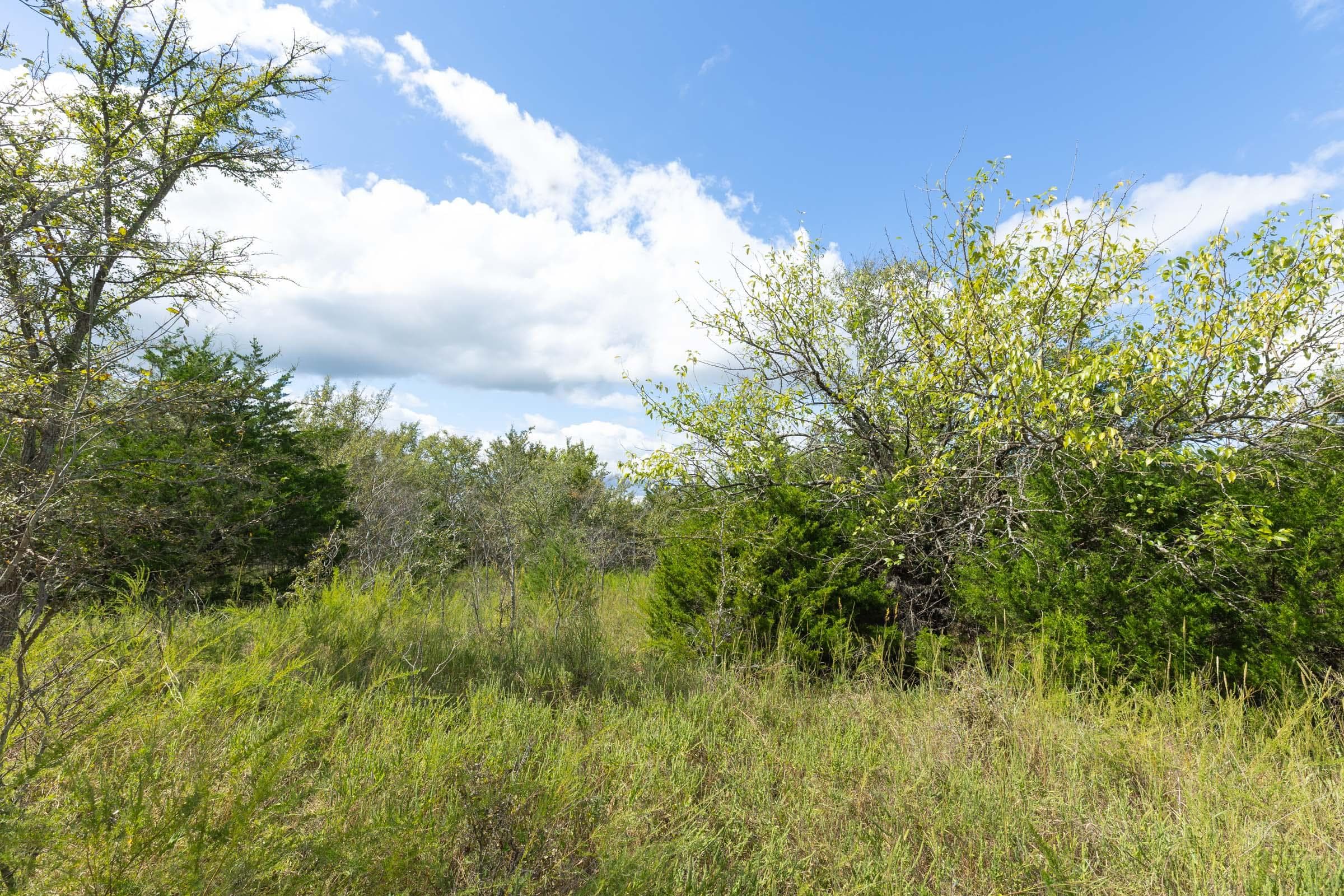  Reserves At Cattail Cove Phase II — Zero Credit Land owner financed land for sale in Pittsburg County, Oklahoma photo 190