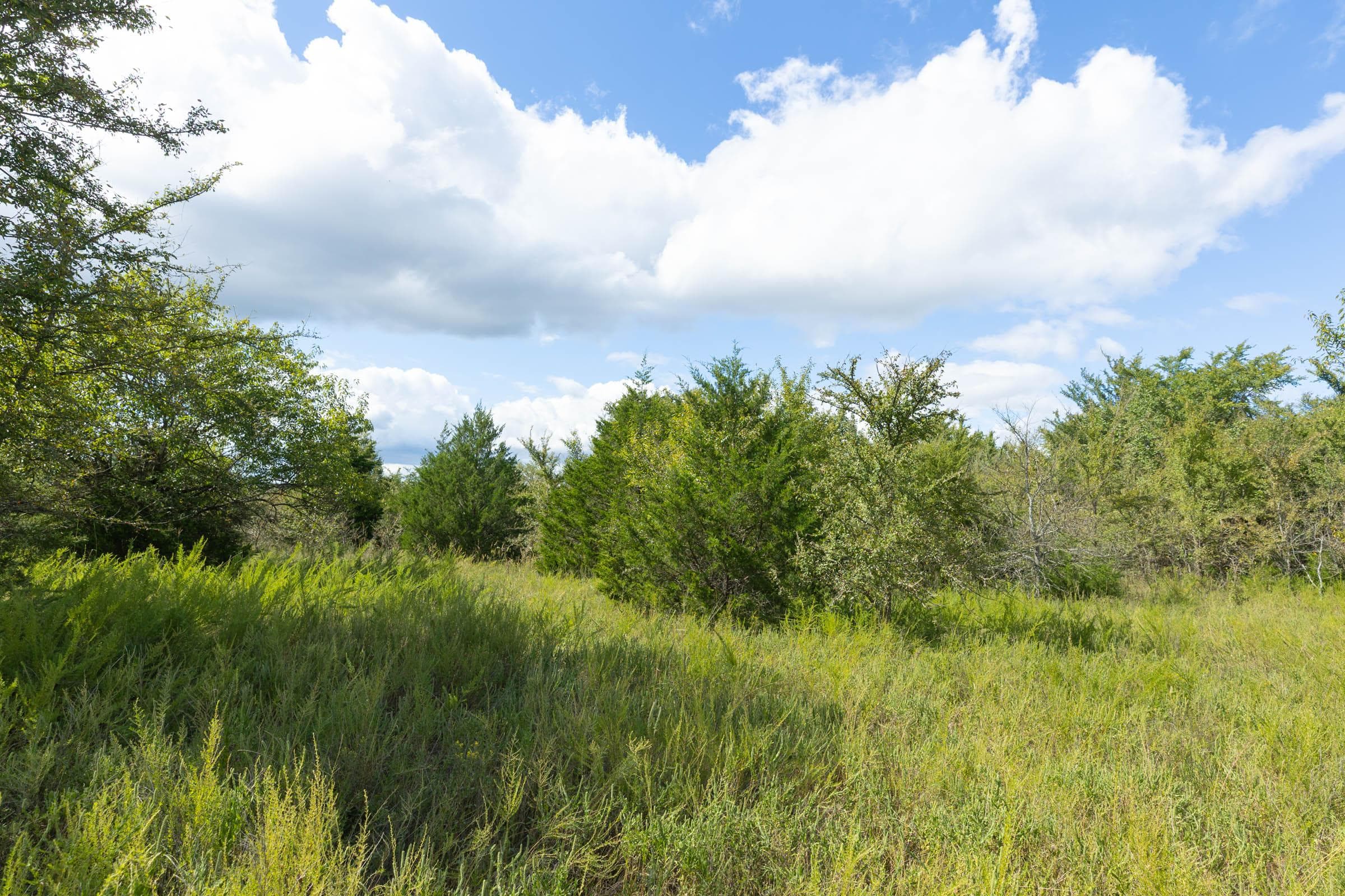  Reserves At Cattail Cove Phase II — Zero Credit Land owner financed land for sale in Pittsburg County, Oklahoma photo 187