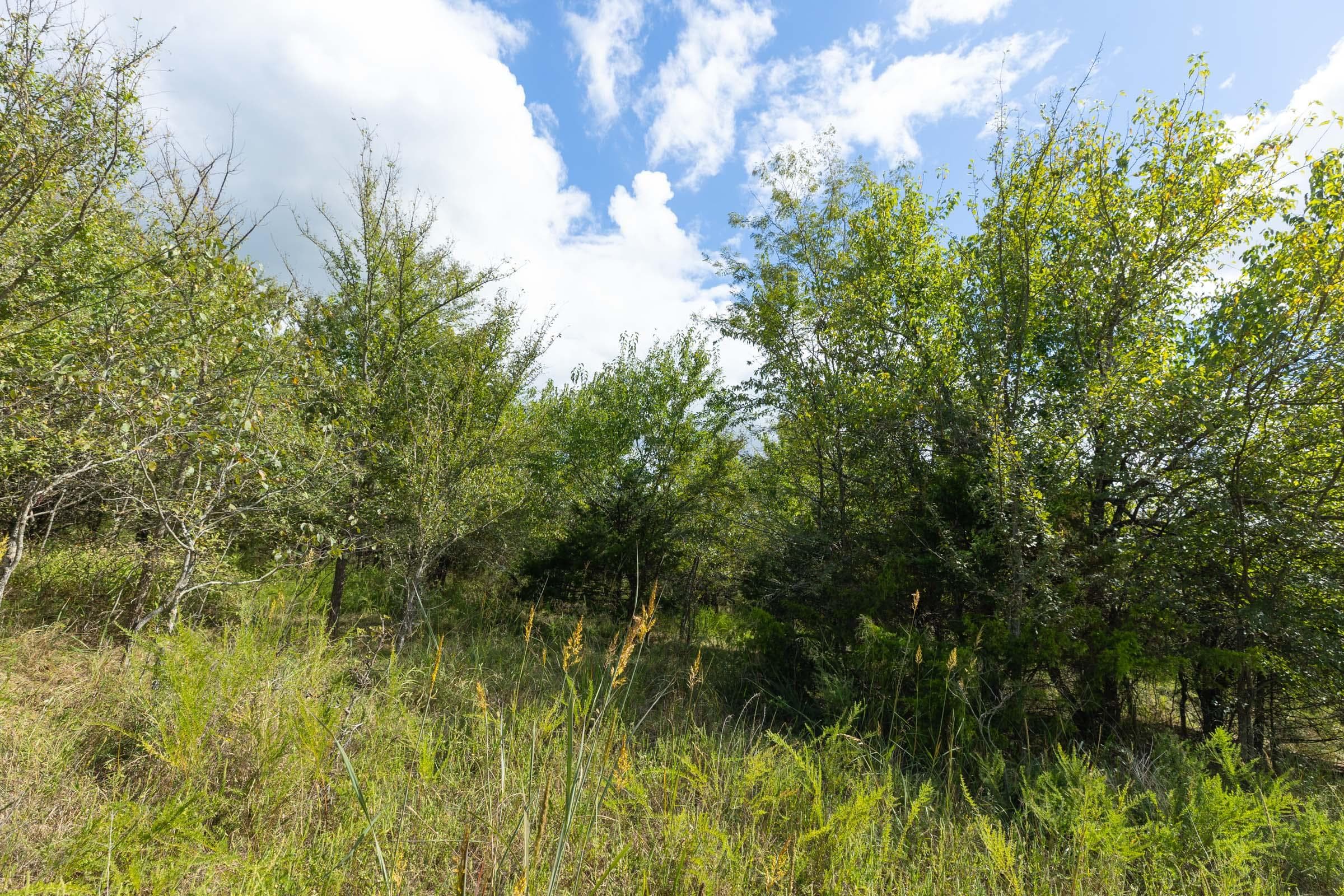  Reserves At Cattail Cove Phase II — Zero Credit Land owner financed land for sale in Pittsburg County, Oklahoma photo 188