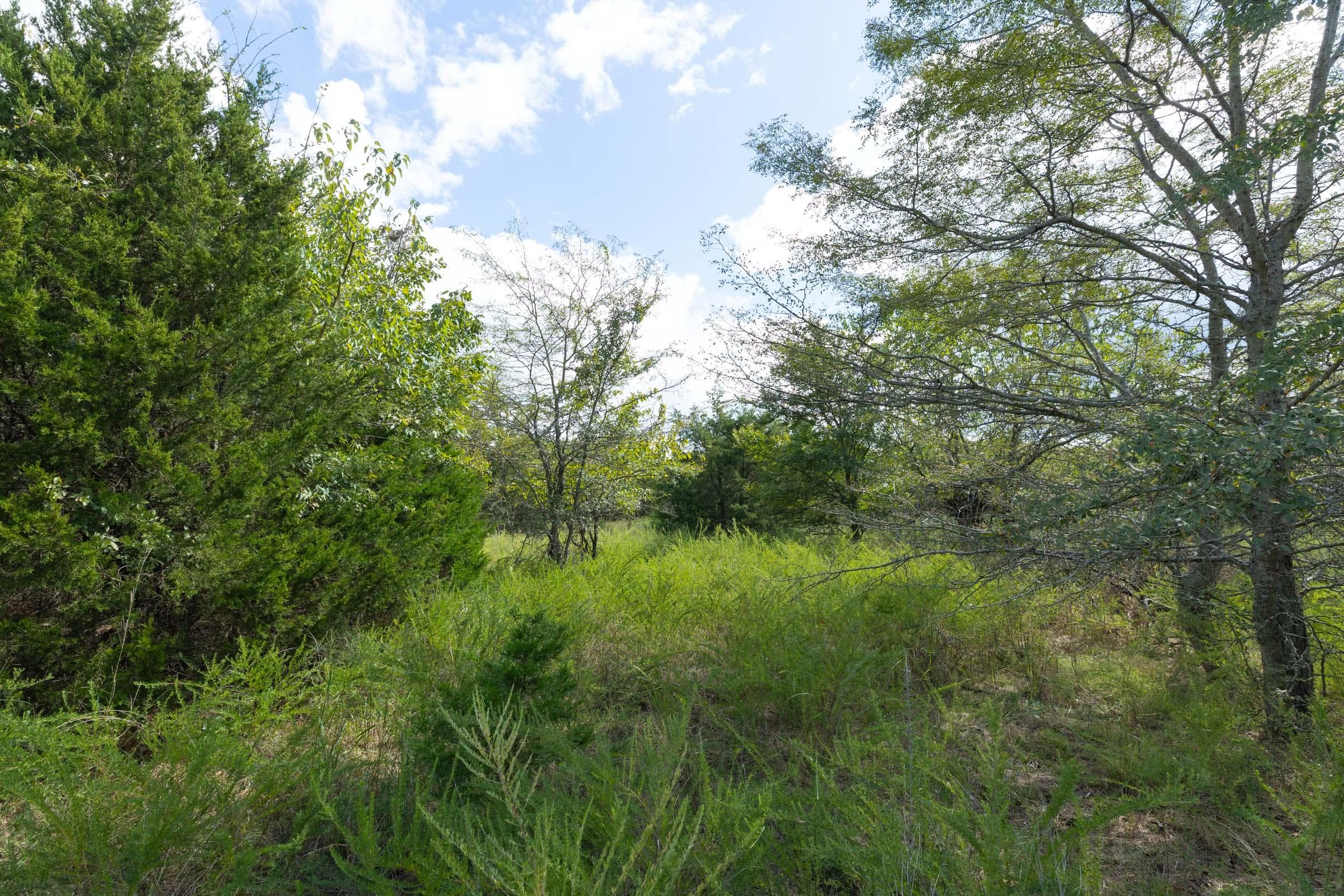  Reserves At Cattail Cove Phase II — Zero Credit Land owner financed land for sale in Pittsburg County, Oklahoma photo 191