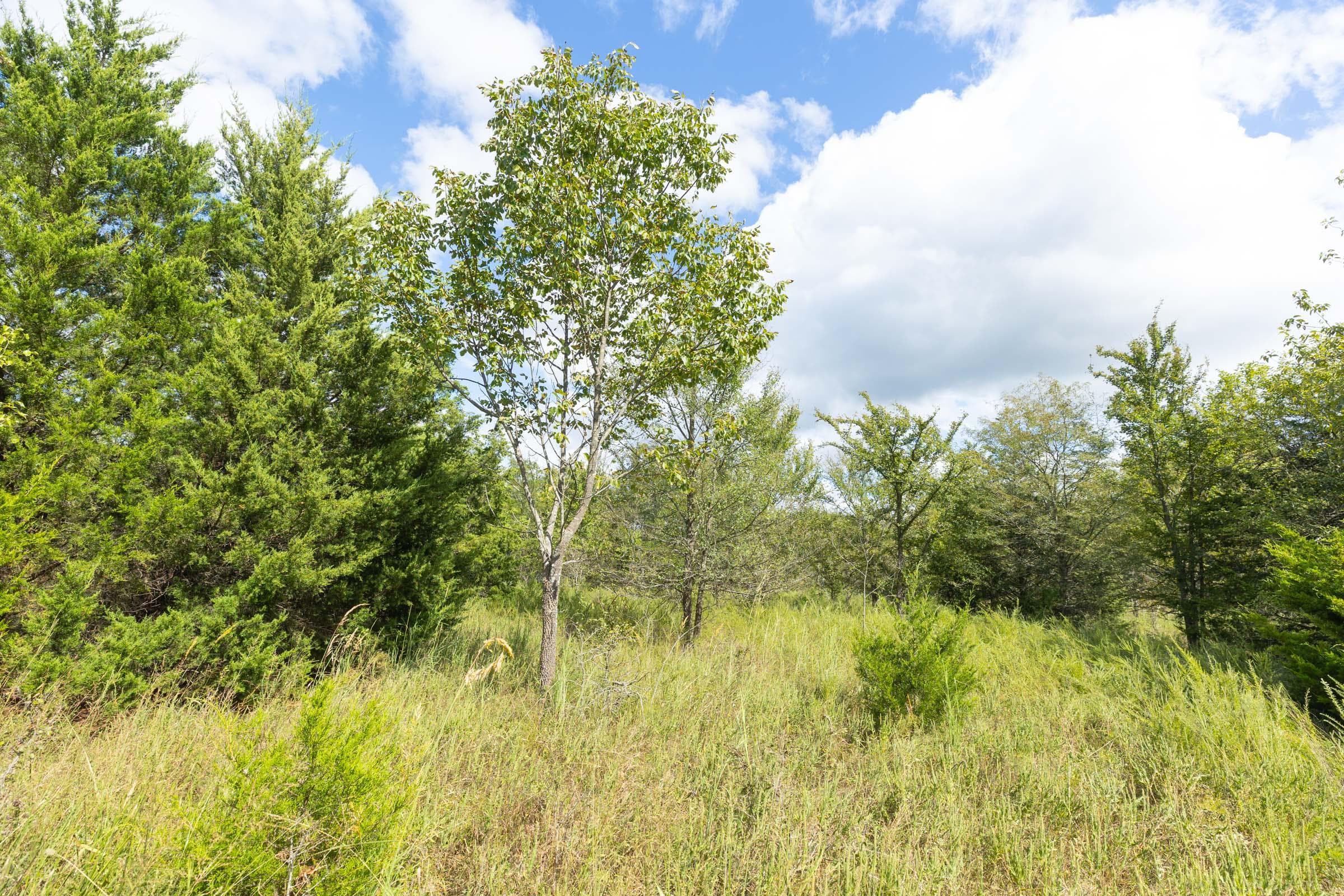  Reserves At Cattail Cove Phase II — Zero Credit Land owner financed land for sale in Pittsburg County, Oklahoma photo 109