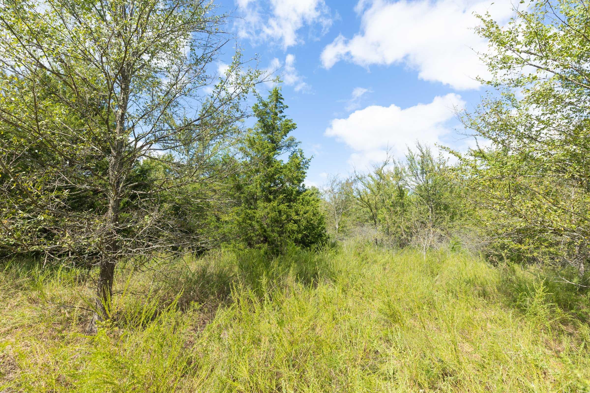  Reserves At Cattail Cove Phase II — Zero Credit Land owner financed land for sale in Pittsburg County, Oklahoma photo 183