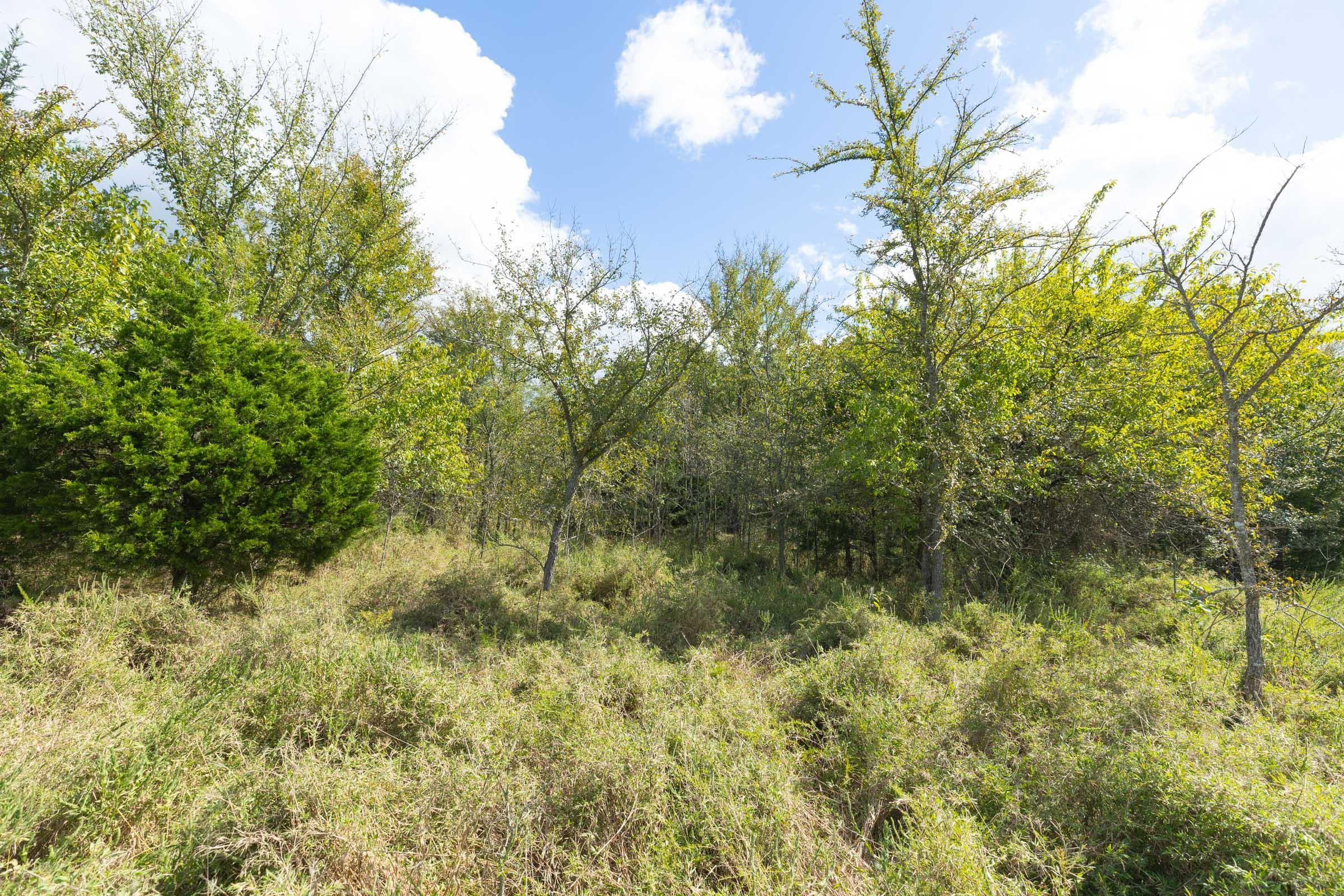  Reserves At Cattail Cove Phase II — Zero Credit Land owner financed land for sale in Pittsburg County, Oklahoma photo 184