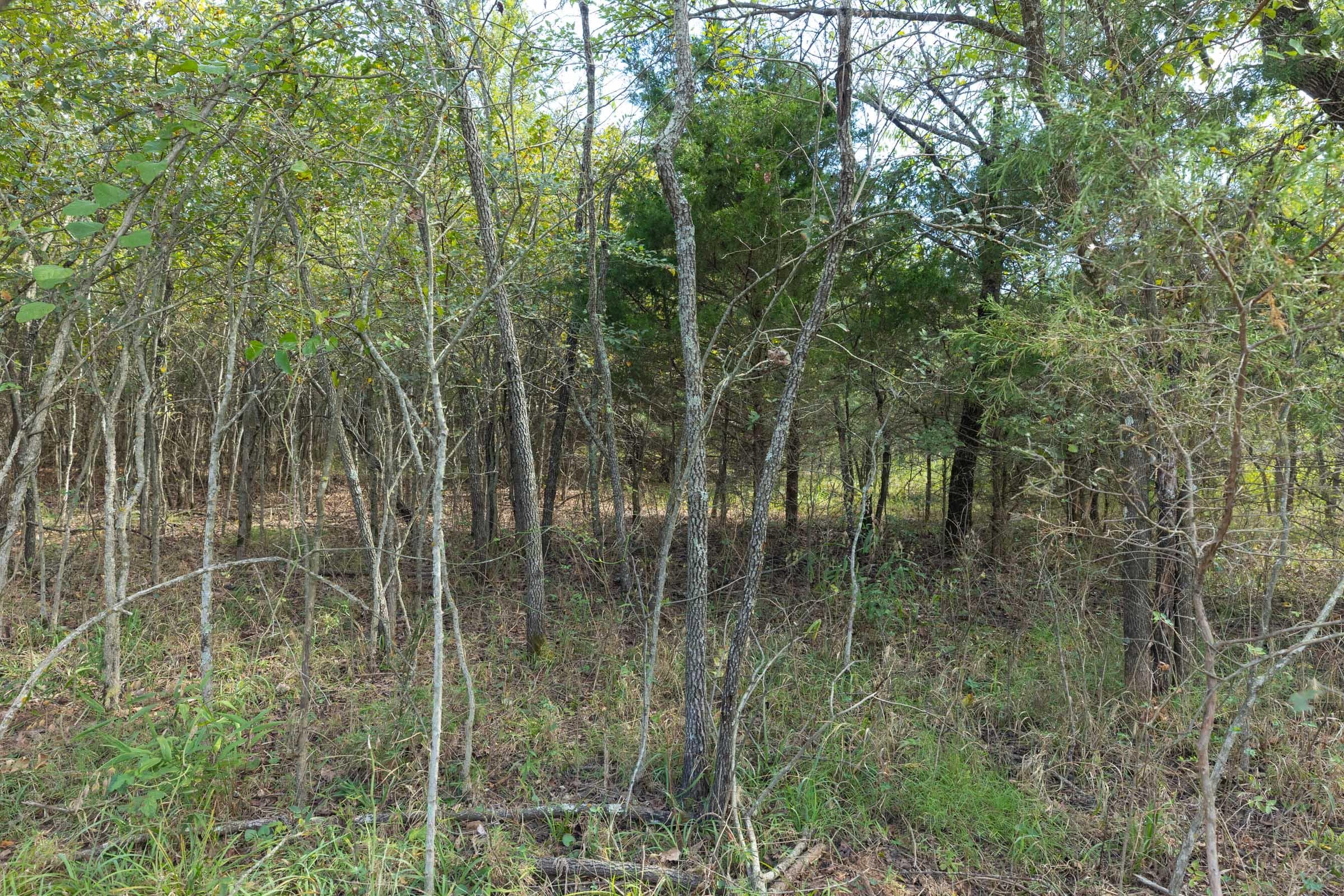  Reserves At Cattail Cove Phase II — Zero Credit Land owner financed land for sale in Pittsburg County, Oklahoma photo 114