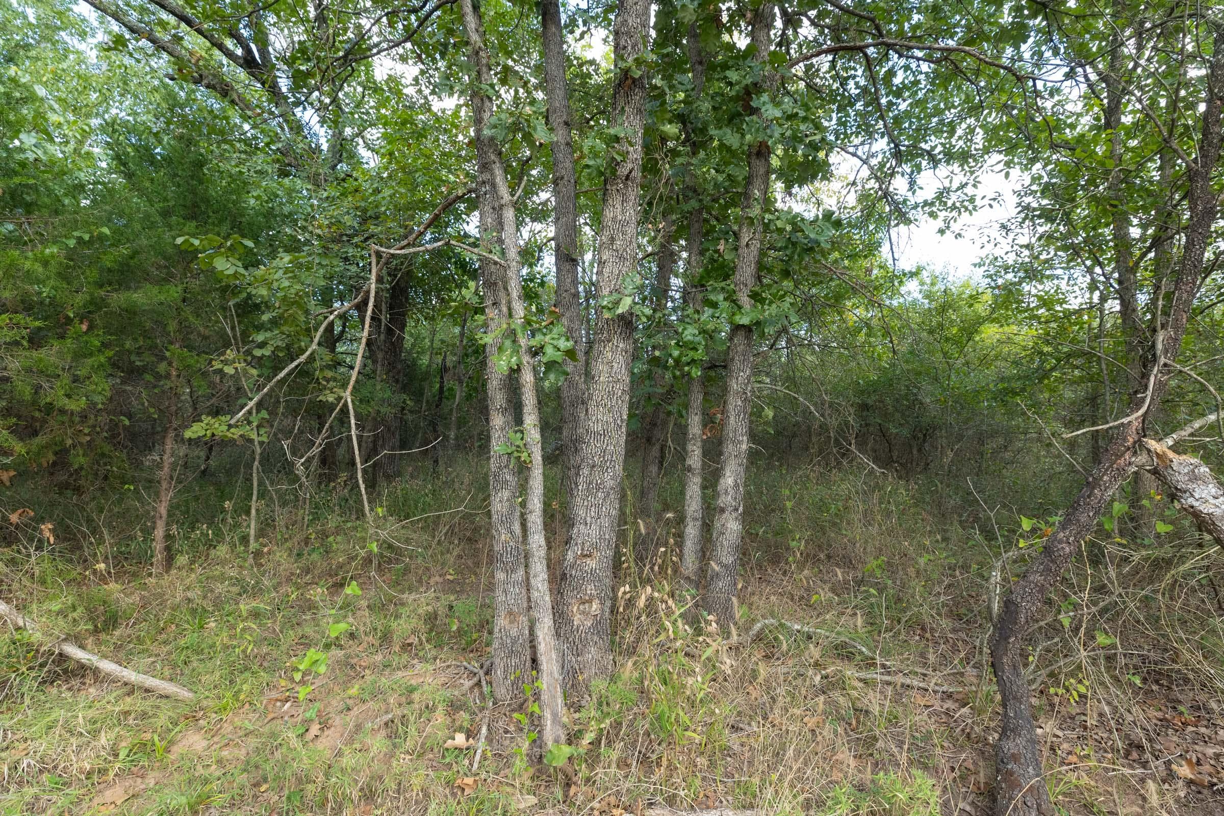 Reserves At Cattail Cove Phase II — Zero Credit Land owner financed land for sale in Pittsburg County, Oklahoma photo 111