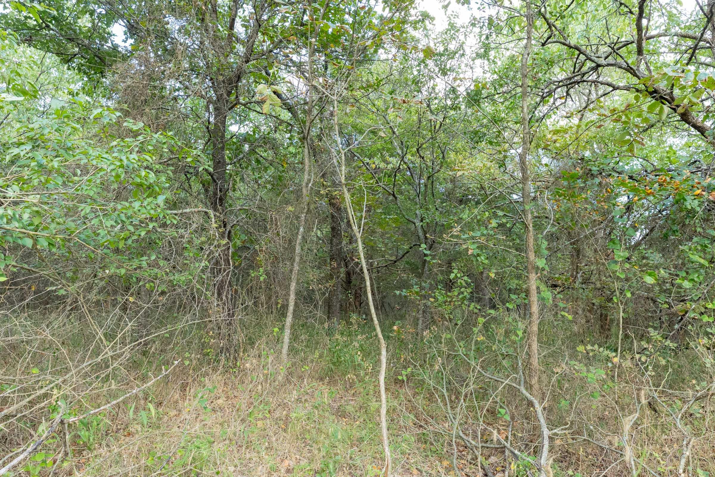  Reserves At Cattail Cove Phase II — Zero Credit Land owner financed land for sale in Pittsburg County, Oklahoma photo 115