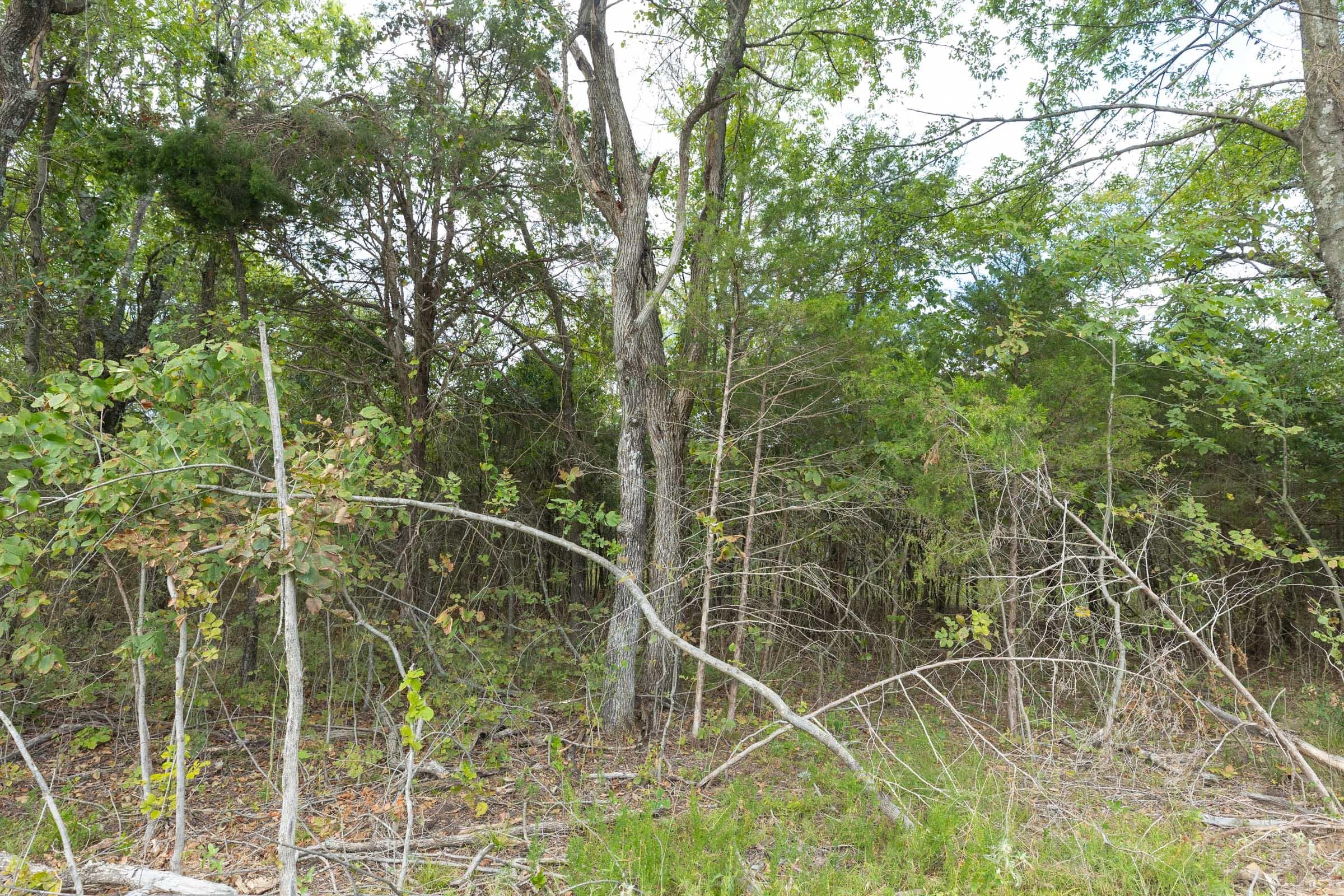  Reserves At Cattail Cove Phase II — Zero Credit Land owner financed land for sale in Pittsburg County, Oklahoma photo 130
