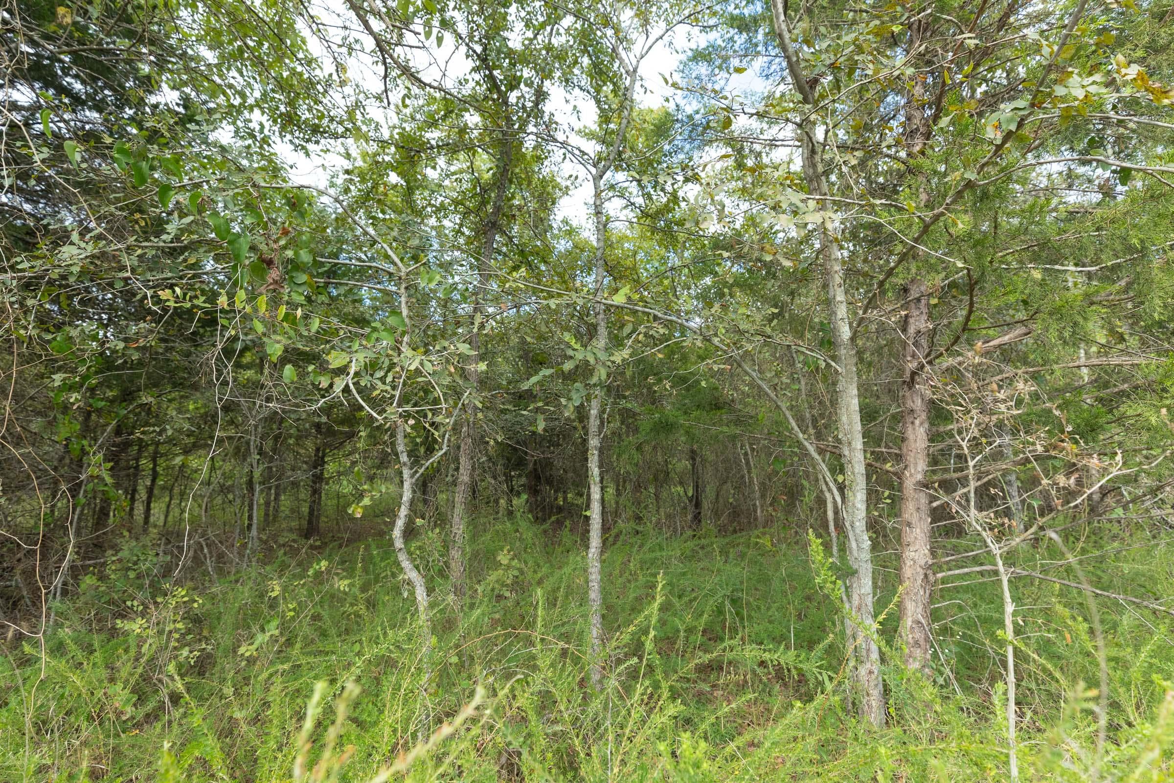  Reserves At Cattail Cove Phase II — Zero Credit Land owner financed land for sale in Pittsburg County, Oklahoma photo 131