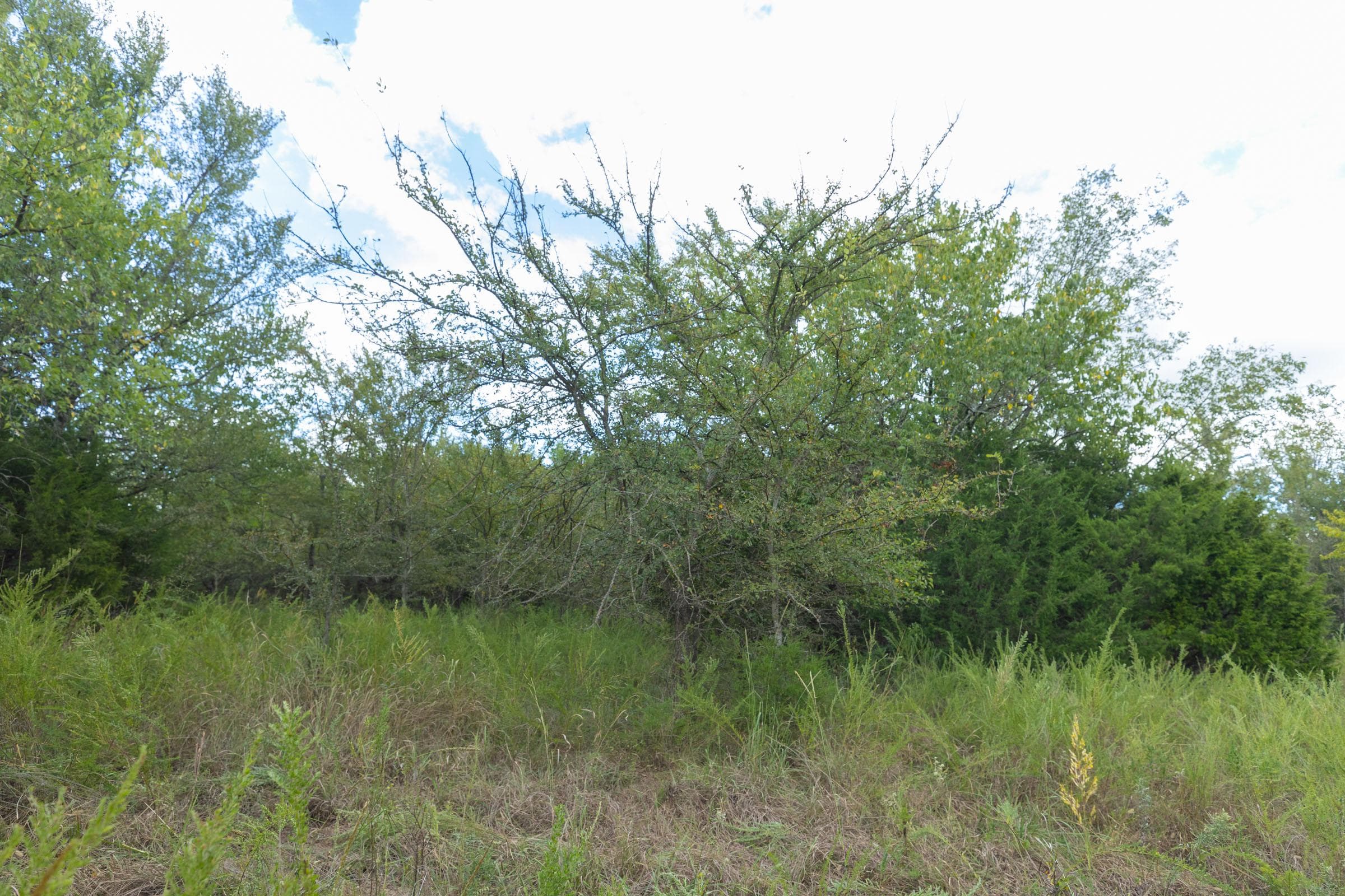  Reserves At Cattail Cove Phase II — Zero Credit Land owner financed land for sale in Pittsburg County, Oklahoma photo 219