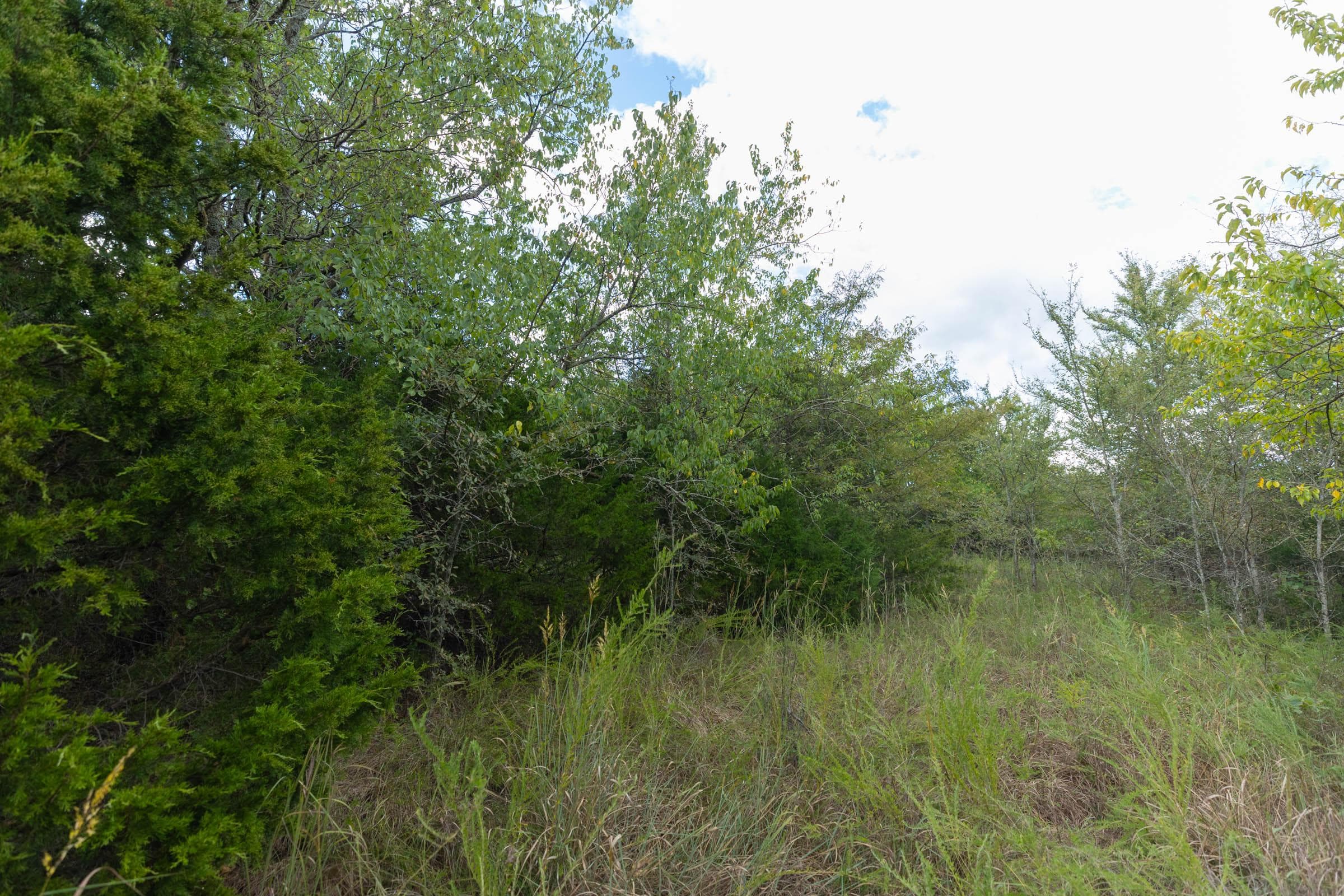  Reserves At Cattail Cove Phase II — Zero Credit Land owner financed land for sale in Pittsburg County, Oklahoma photo 215
