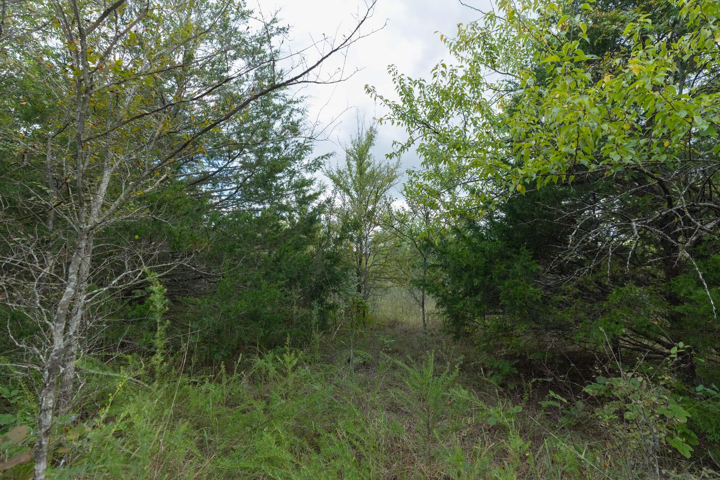 Reserves At Cattail Cove Phase II — Zero Credit Land owner financed land for sale in Pittsburg County, Oklahoma photo 214