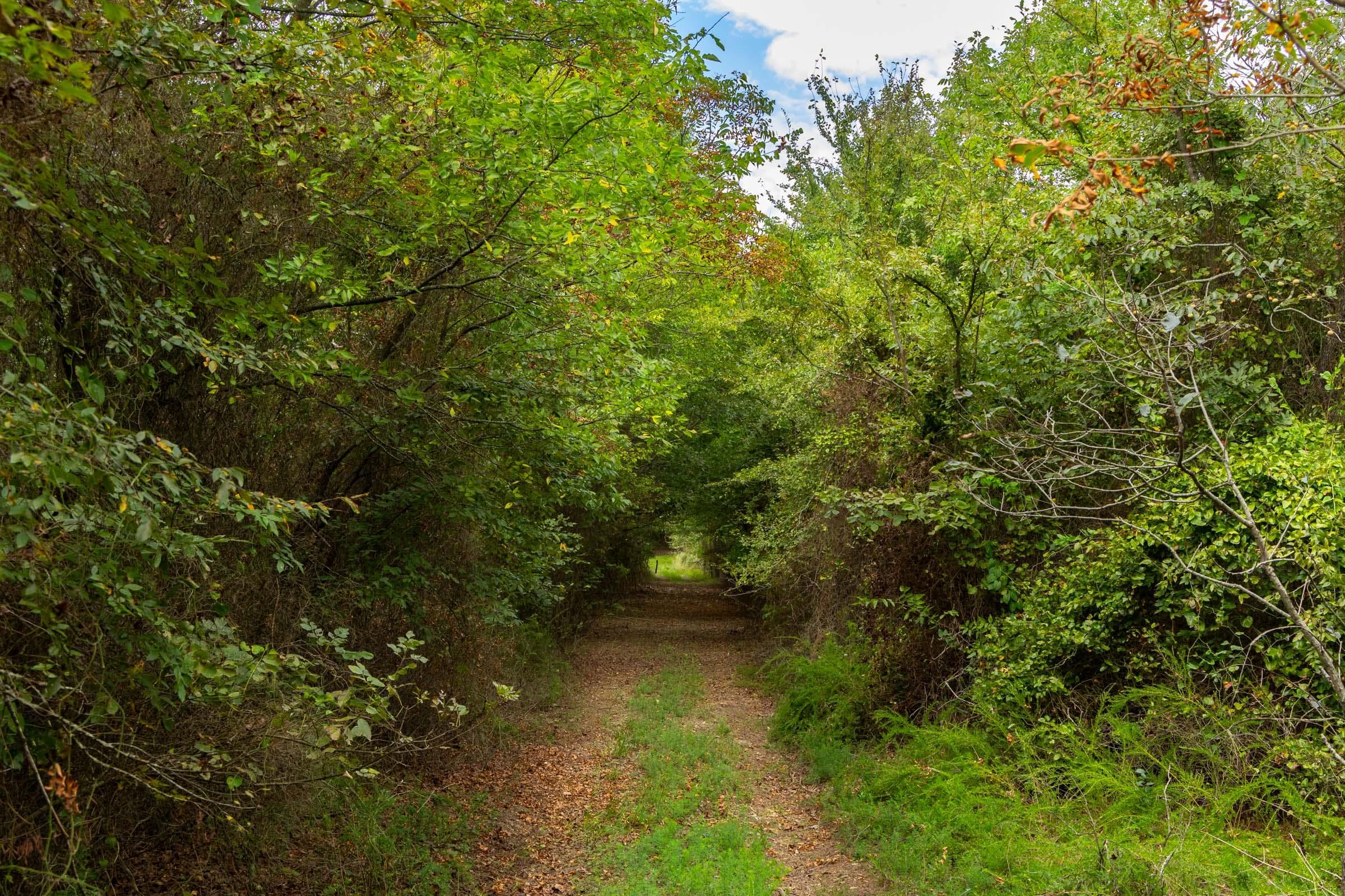 Reserves At Cattail Cove Phase II — Zero Credit Land owner financed land for sale in Pittsburg County, Oklahoma photo 8