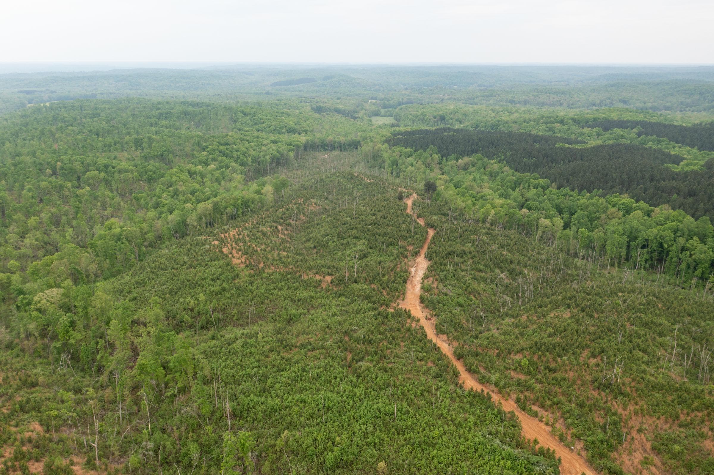 Red Barn Ranch — Zero Credit Land owner financed land for sale in Benton County, Tennessee photo 5
