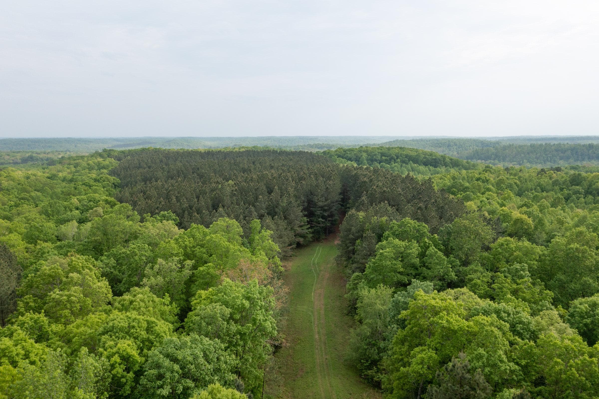 Red Barn Ranch — Zero Credit Land owner financed land for sale in Benton County, Tennessee photo 2