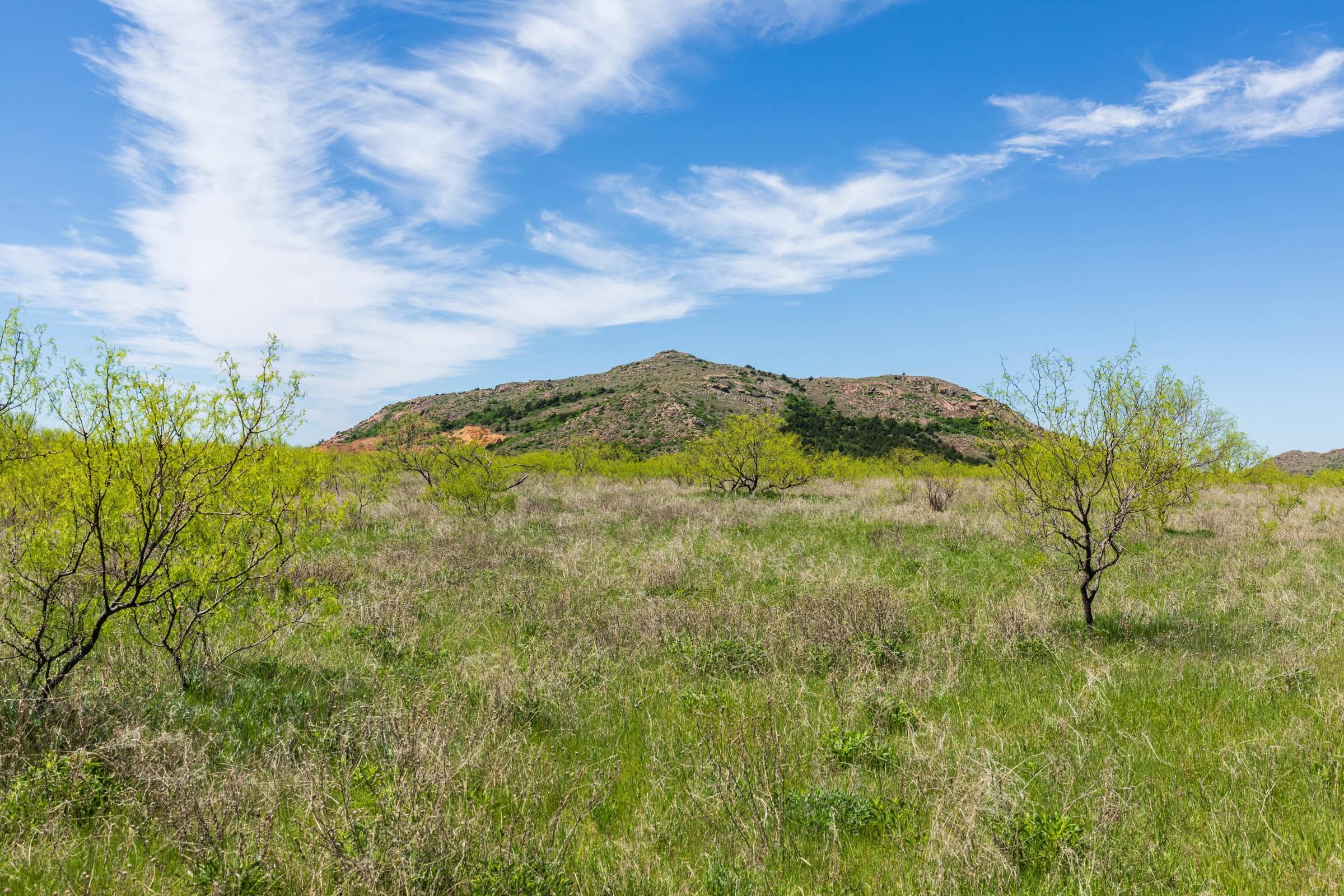 Hackberry Fields  — Zero Credit Land owner financed land for sale in Greer County, Oklahoma photo 84