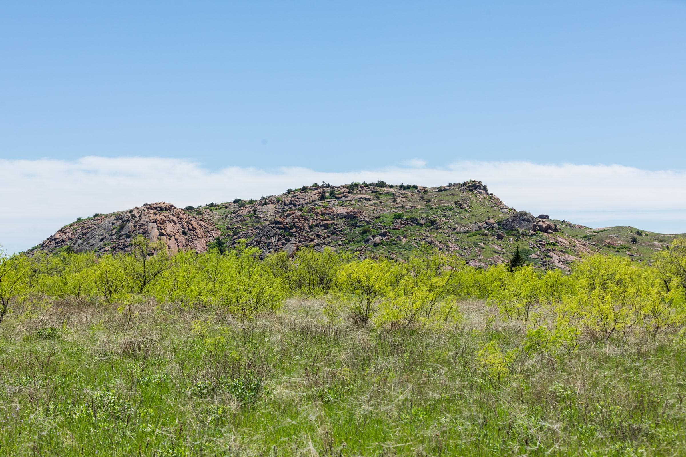Hackberry Fields  — Zero Credit Land owner financed land for sale in Greer County, Oklahoma photo 78