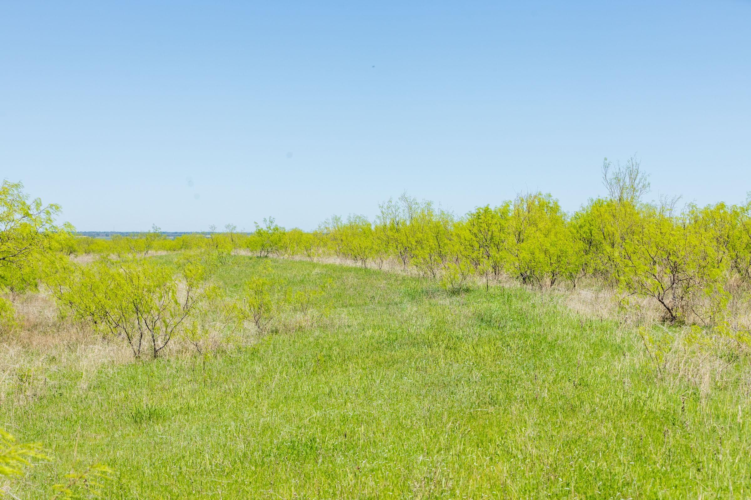 Hackberry Fields  — Zero Credit Land owner financed land for sale in Greer County, Oklahoma photo 81