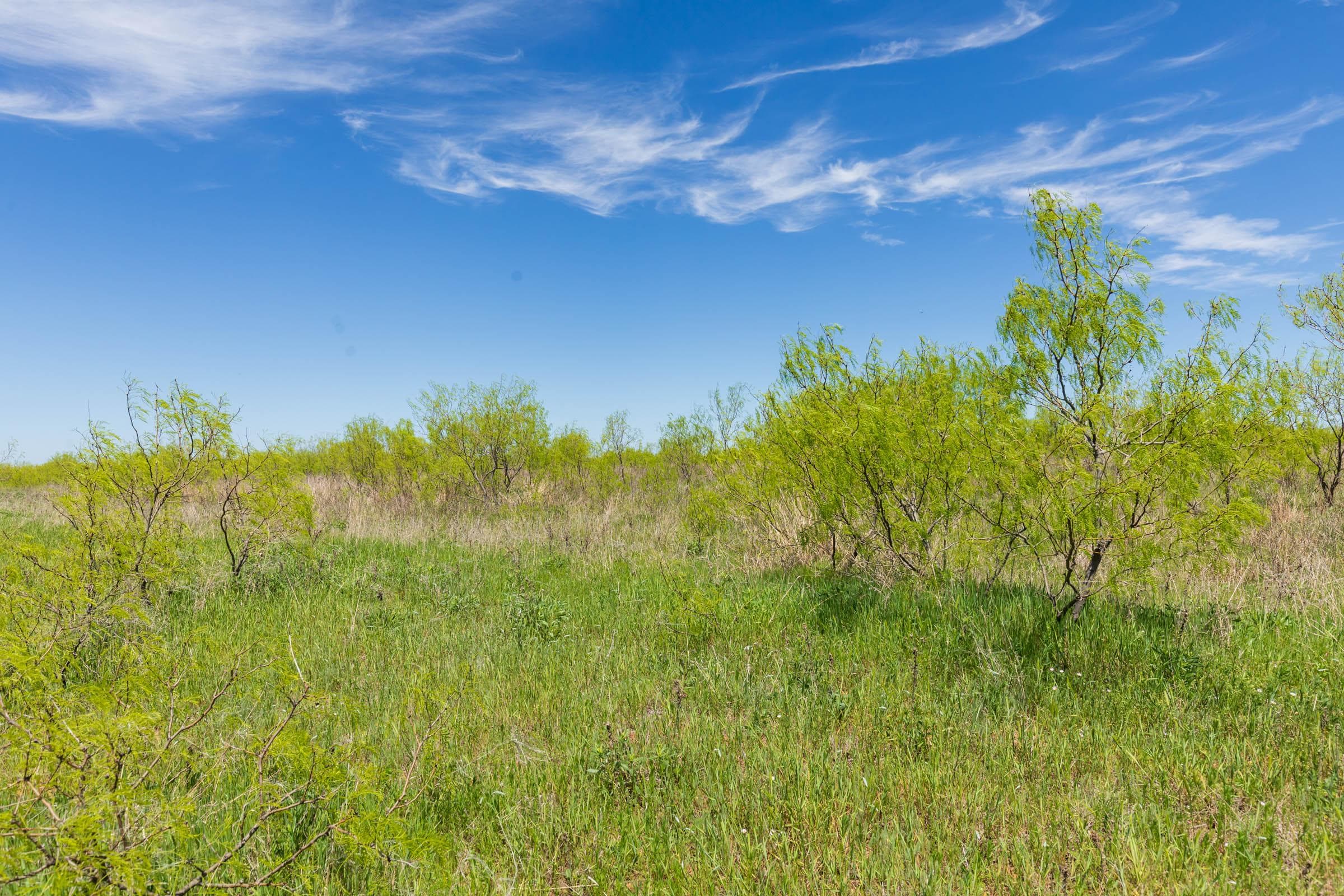 Hackberry Fields  — Zero Credit Land owner financed land for sale in Greer County, Oklahoma photo 80