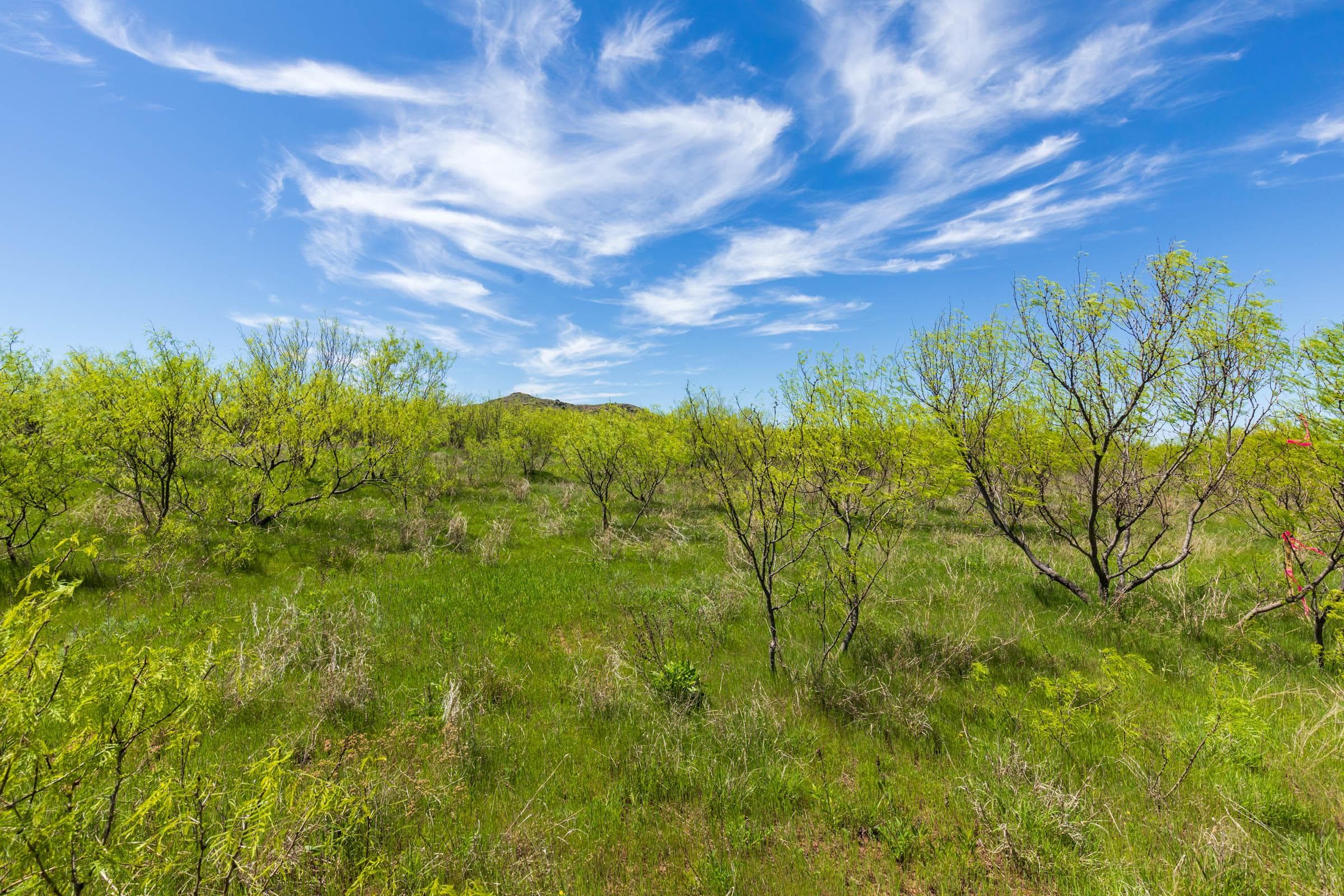 Hackberry Fields  — Zero Credit Land owner financed land for sale in Greer County, Oklahoma photo 86
