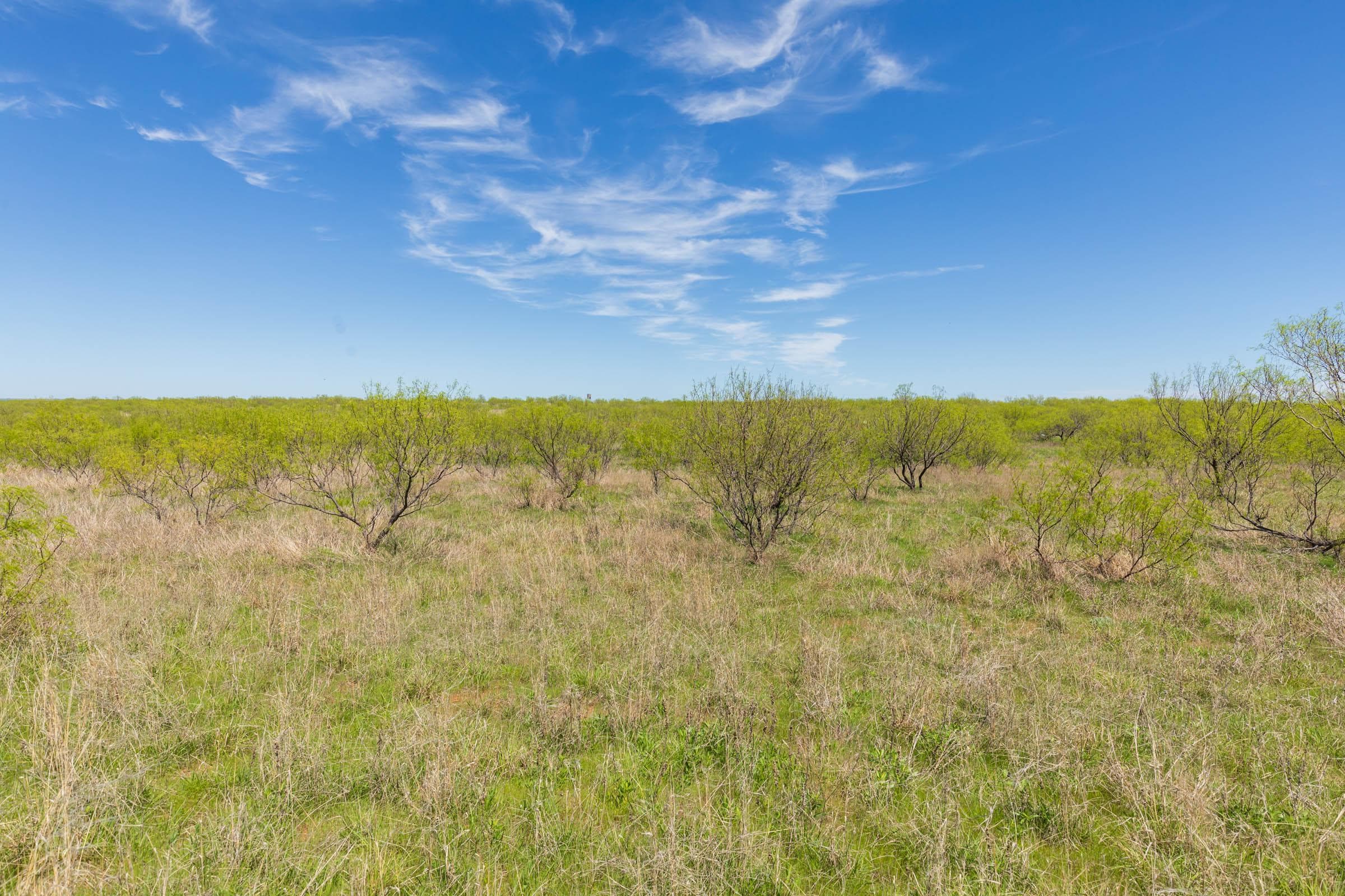 Hackberry Fields  — Zero Credit Land owner financed land for sale in Greer County, Oklahoma photo 88