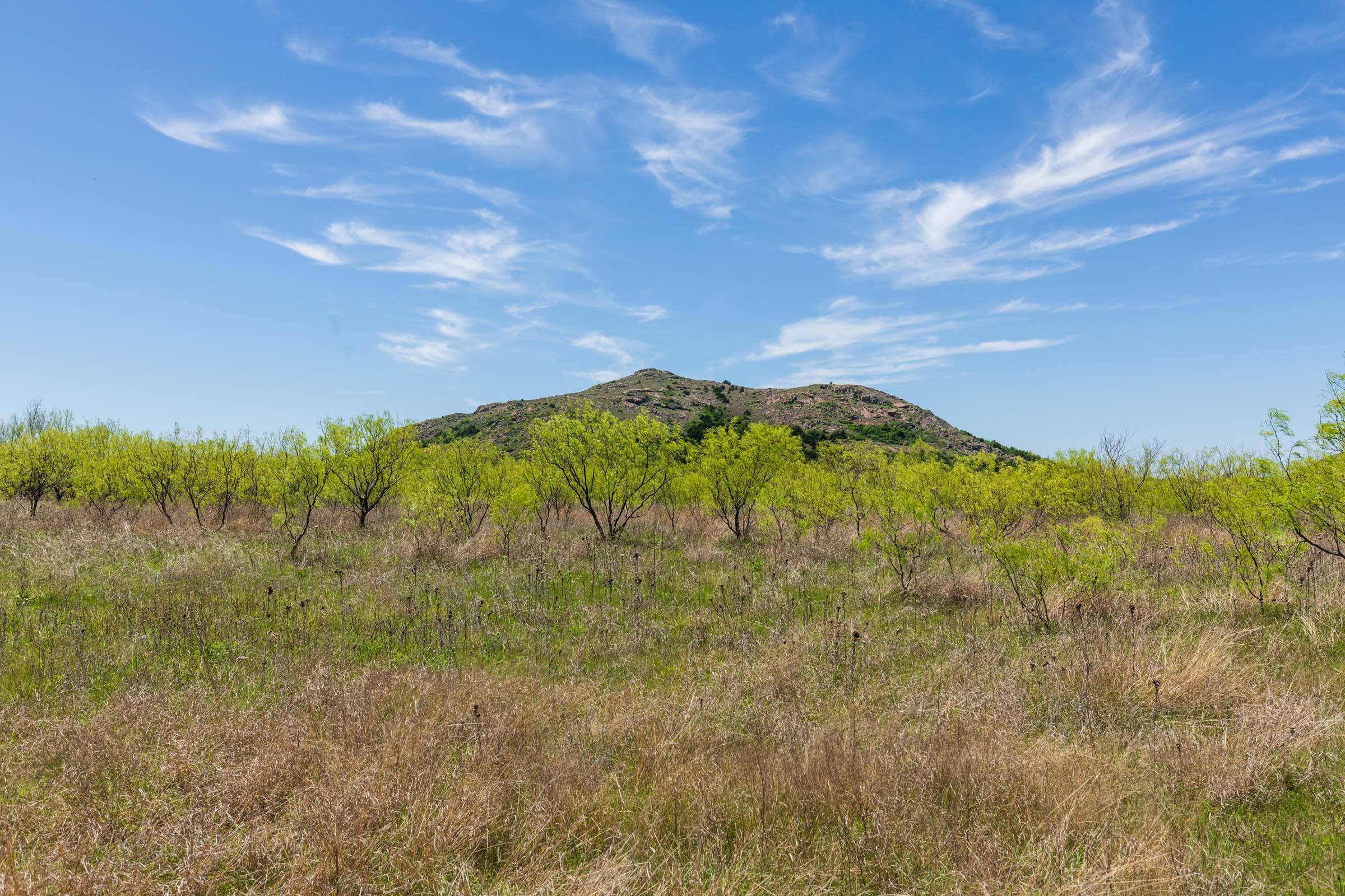 Hackberry Fields  — Zero Credit Land owner financed land for sale in Greer County, Oklahoma photo 90