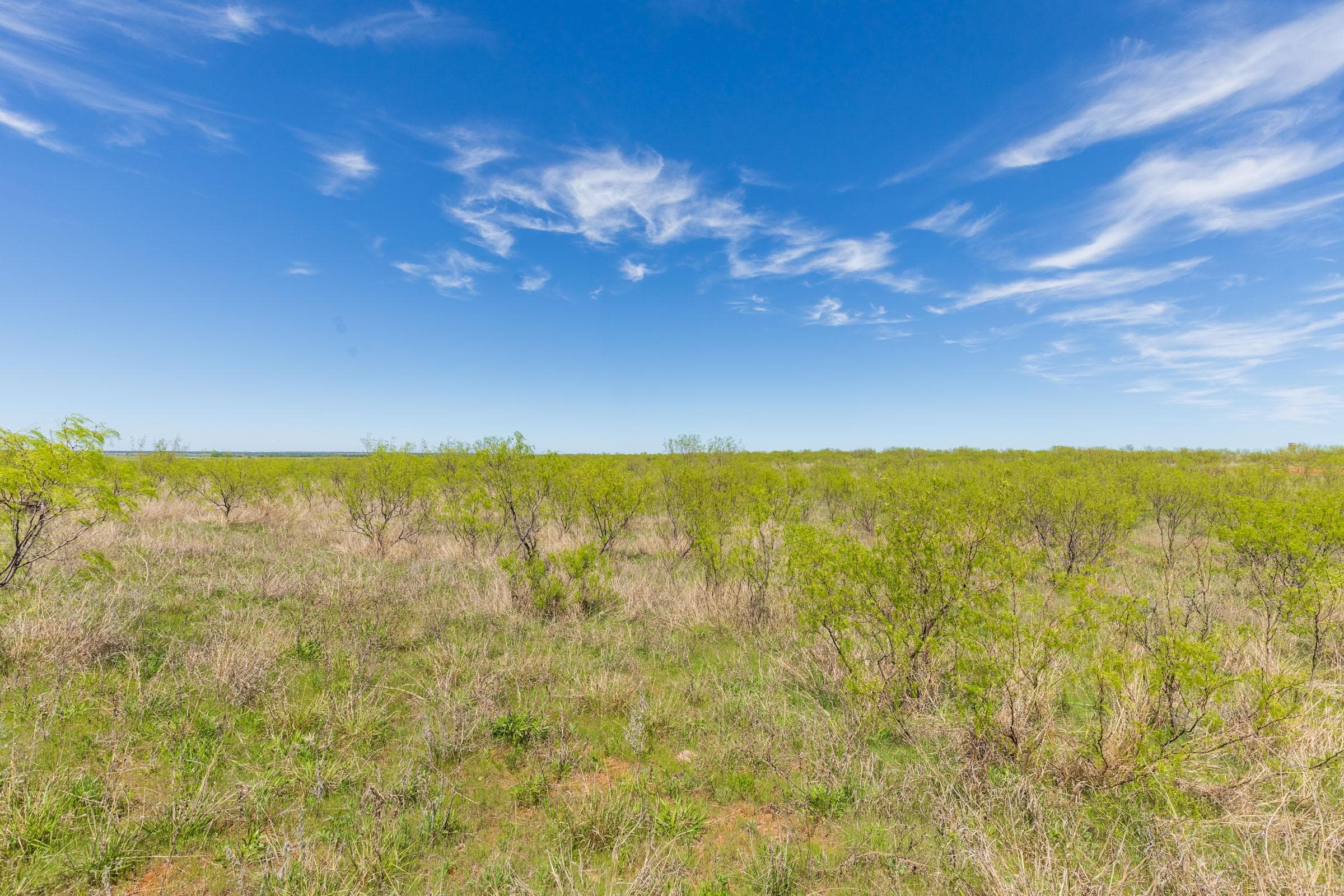 Hackberry Fields  — Zero Credit Land owner financed land for sale in Greer County, Oklahoma photo 92