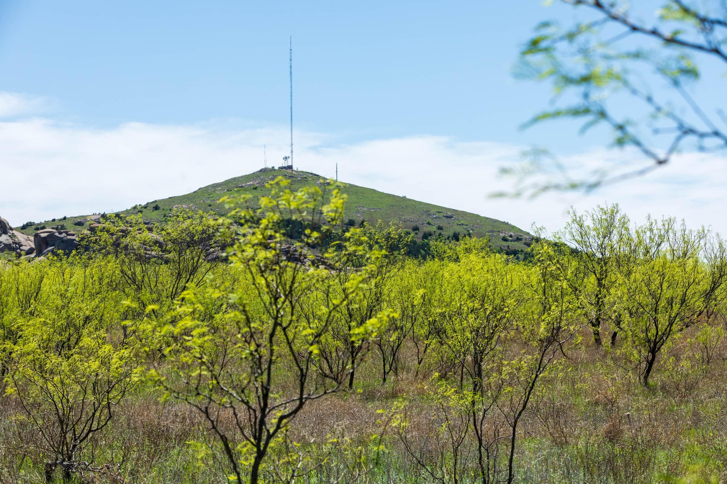 Hackberry Fields  — Zero Credit Land owner financed land for sale in Greer County, Oklahoma photo 102