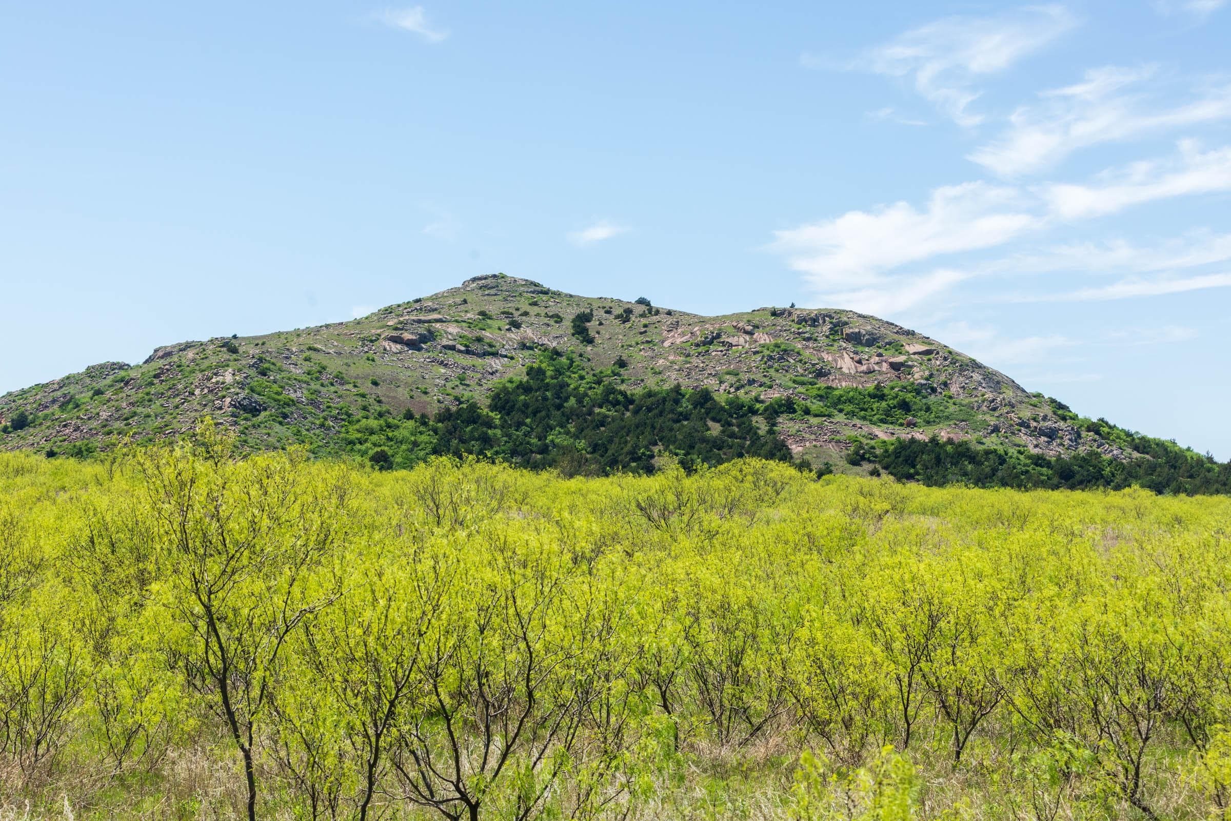 Hackberry Fields  — Zero Credit Land owner financed land for sale in Greer County, Oklahoma photo 103