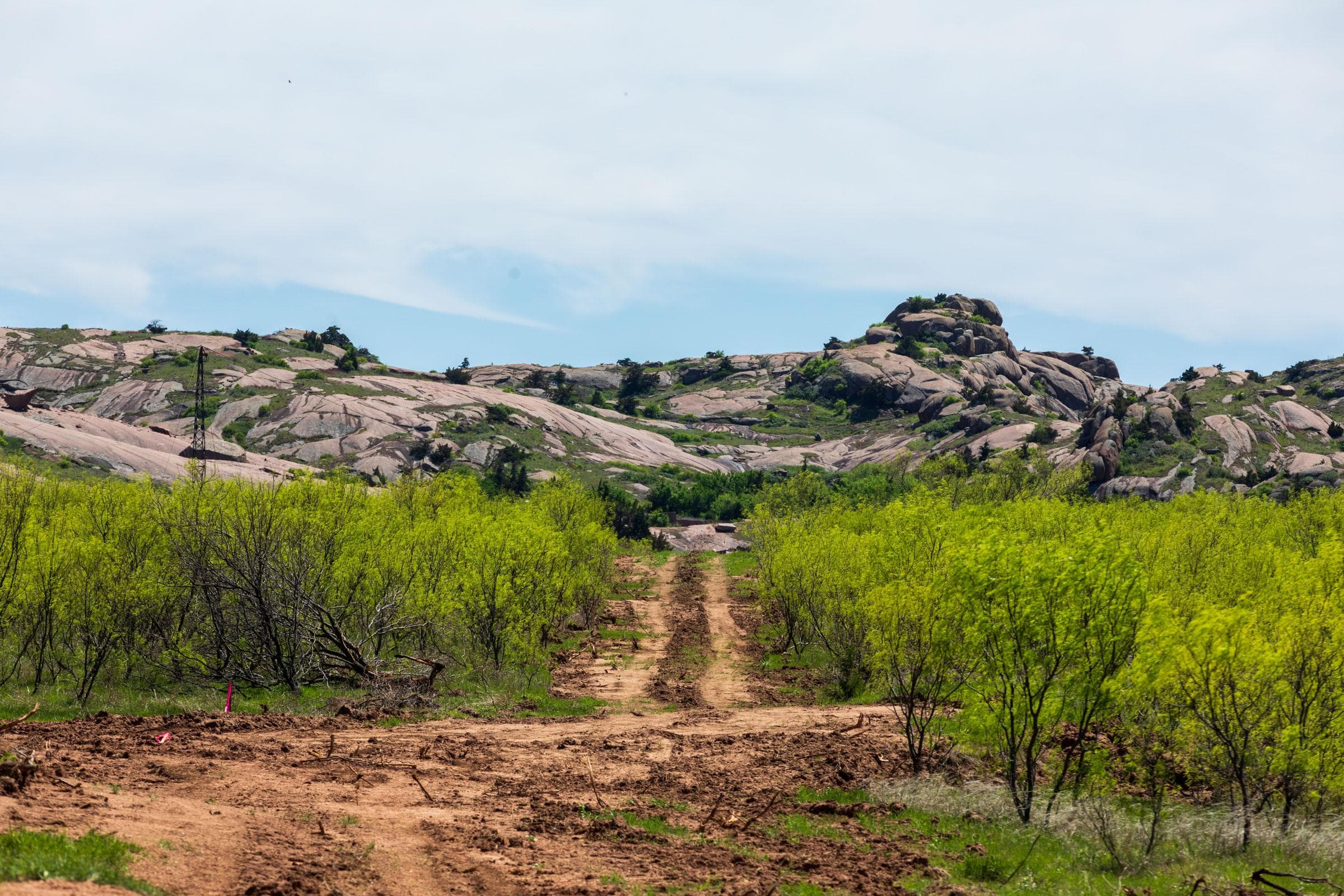 Hackberry Fields  — Zero Credit Land owner financed land for sale in Greer County, Oklahoma photo 101