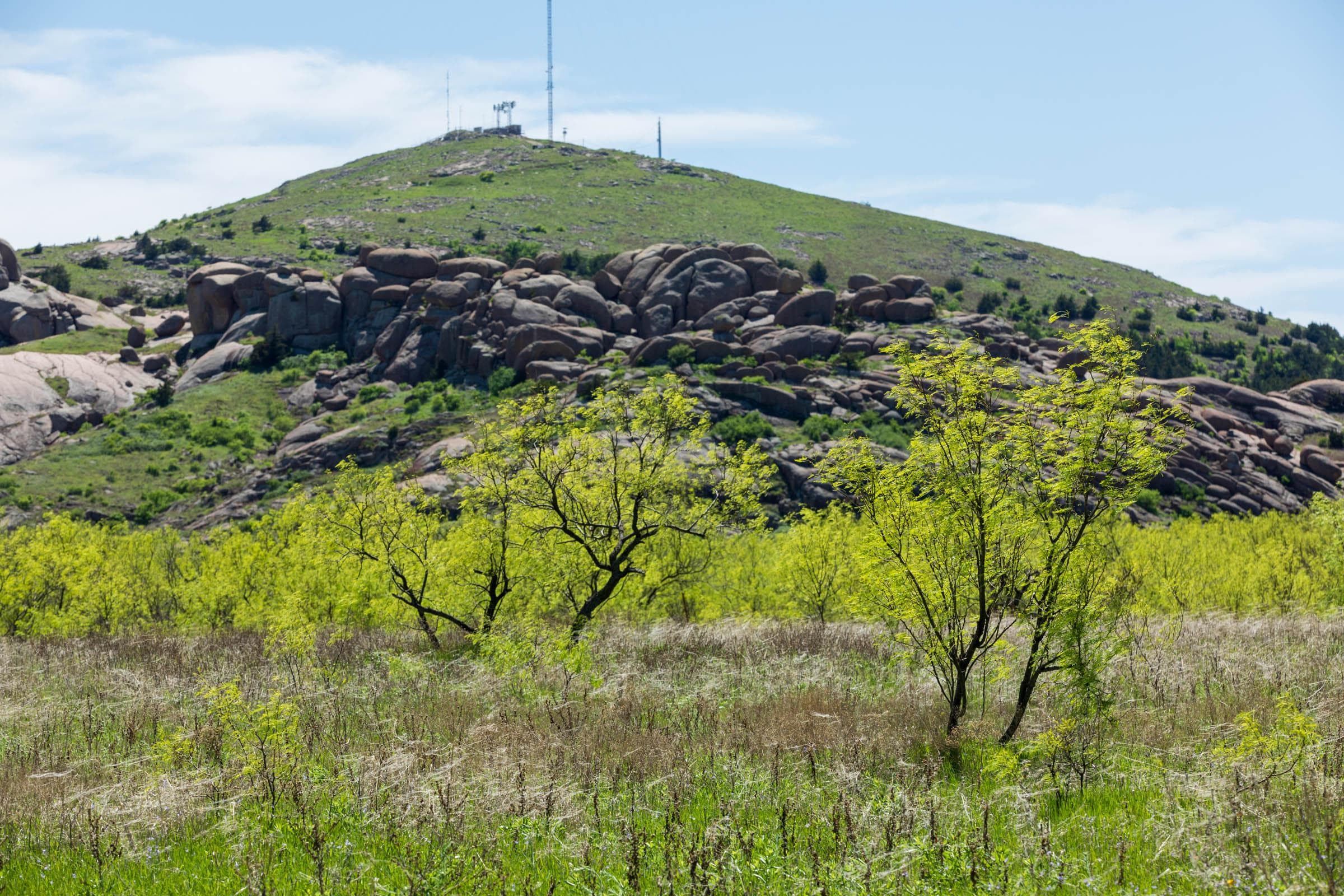 Hackberry Fields  — Zero Credit Land owner financed land for sale in Greer County, Oklahoma photo 52
