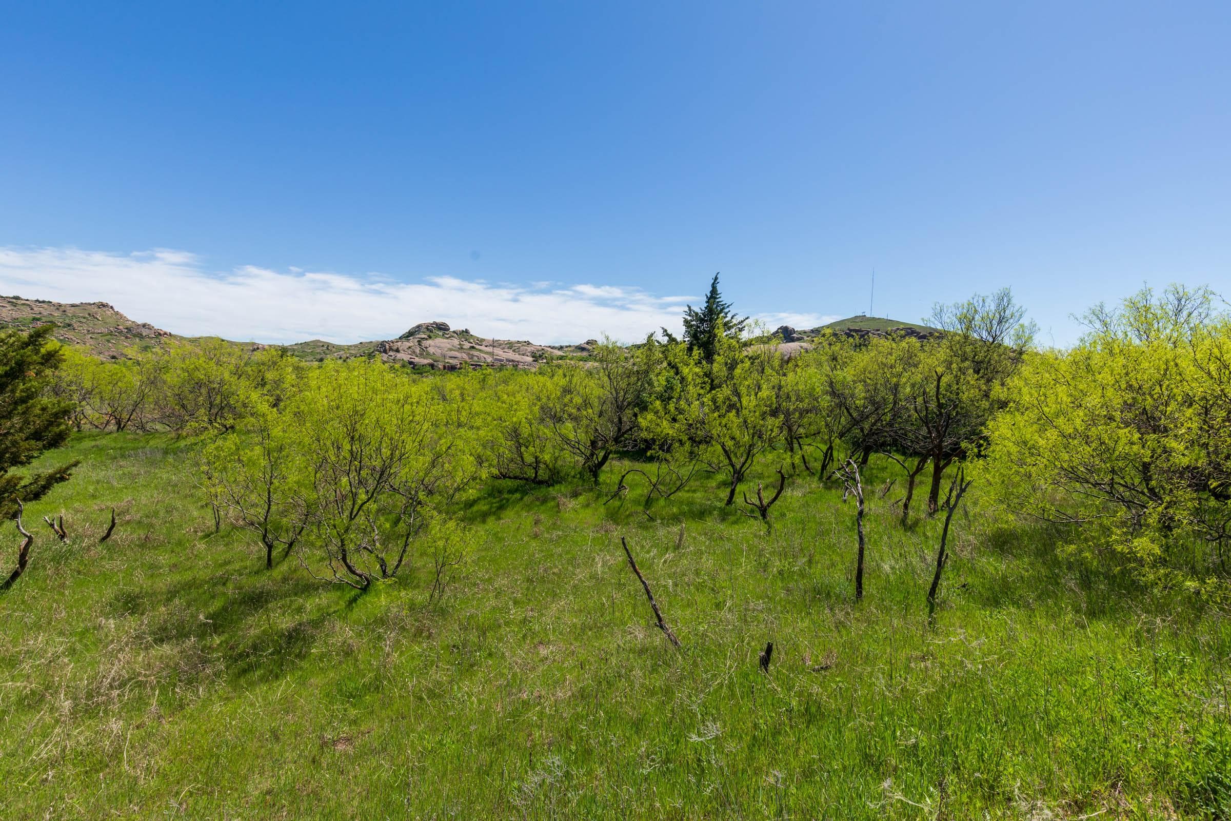 Hackberry Fields  — Zero Credit Land owner financed land for sale in Greer County, Oklahoma photo 51