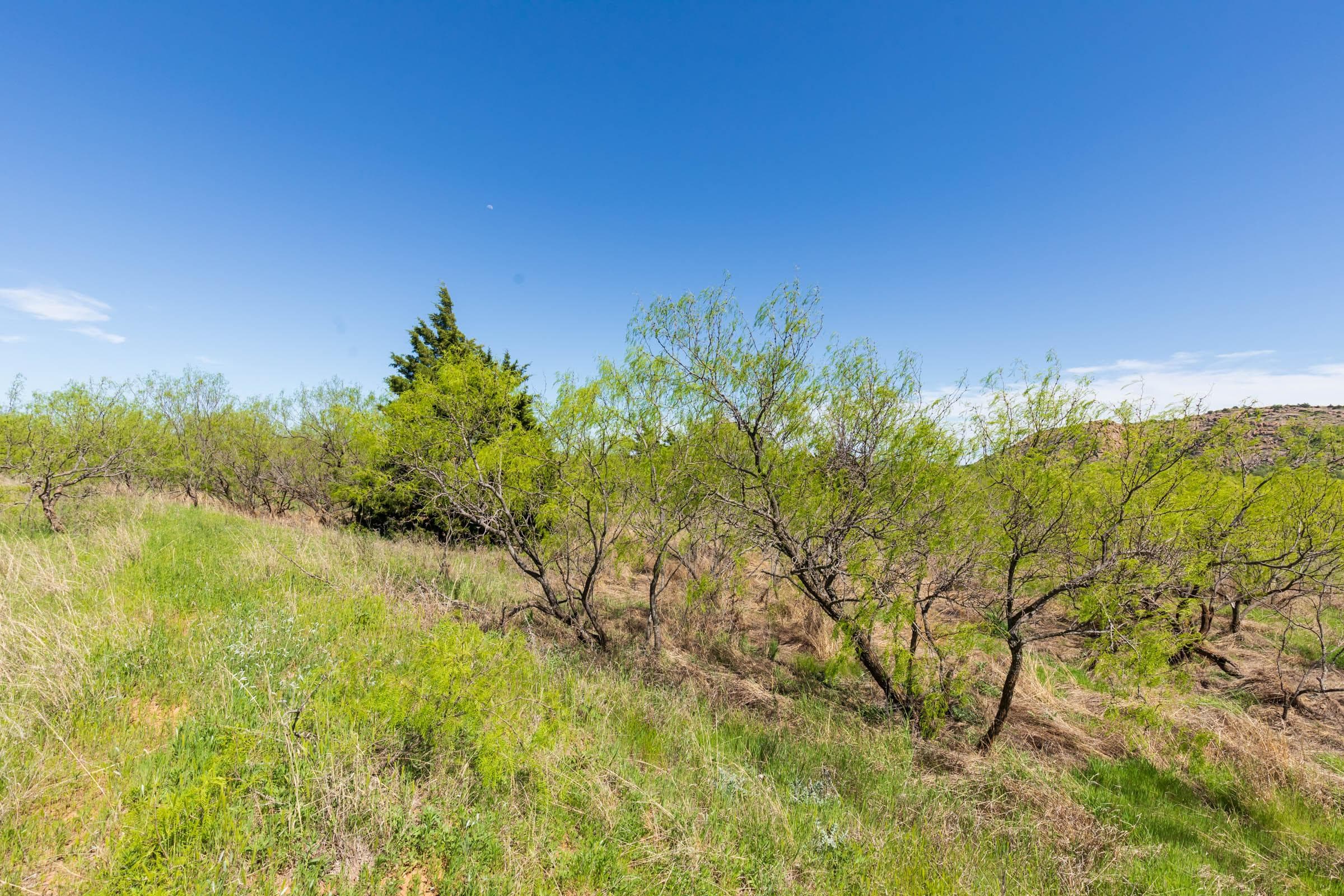 Hackberry Fields  — Zero Credit Land owner financed land for sale in Greer County, Oklahoma photo 77