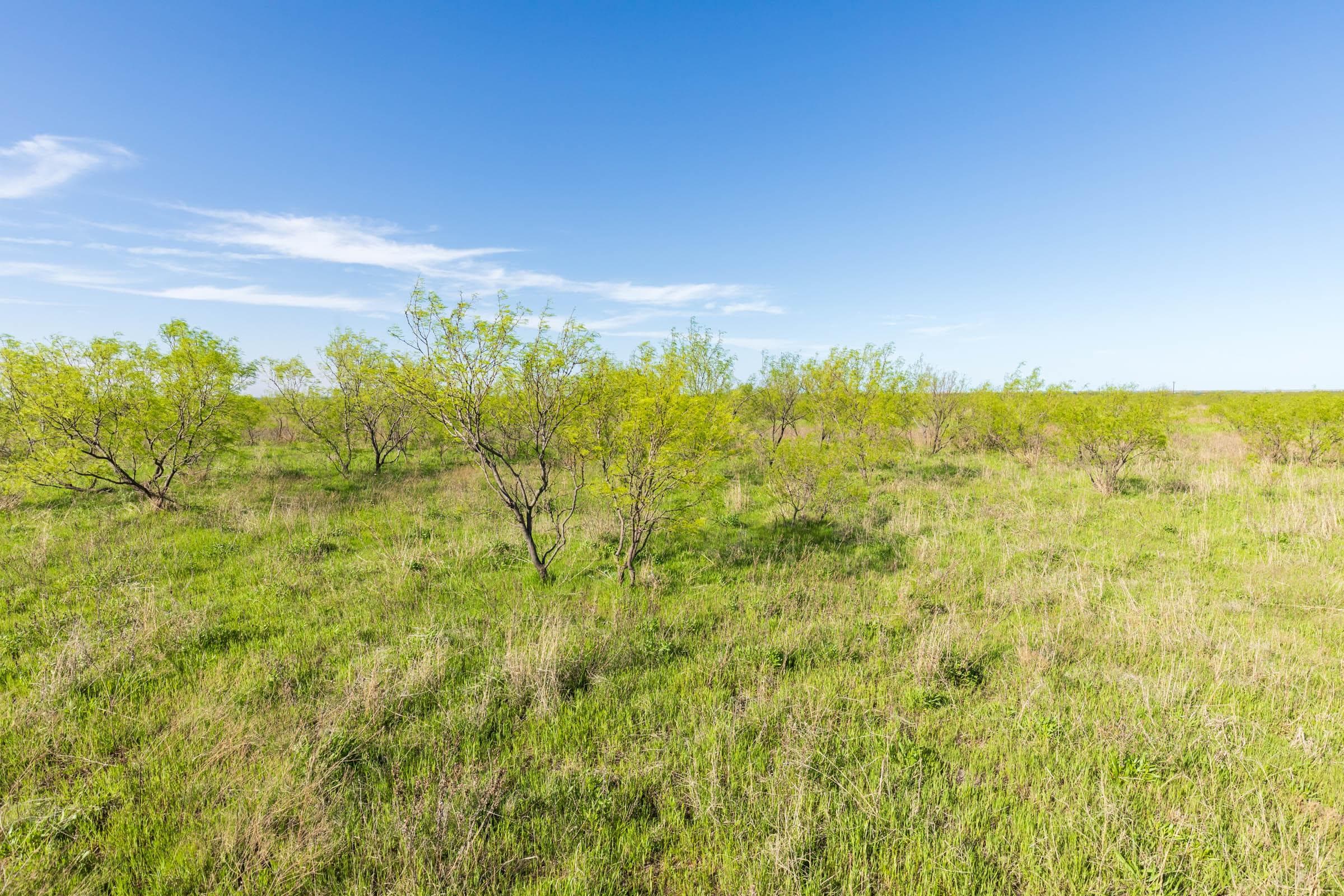 Hackberry Fields  — Zero Credit Land owner financed land for sale in Greer County, Oklahoma photo 57