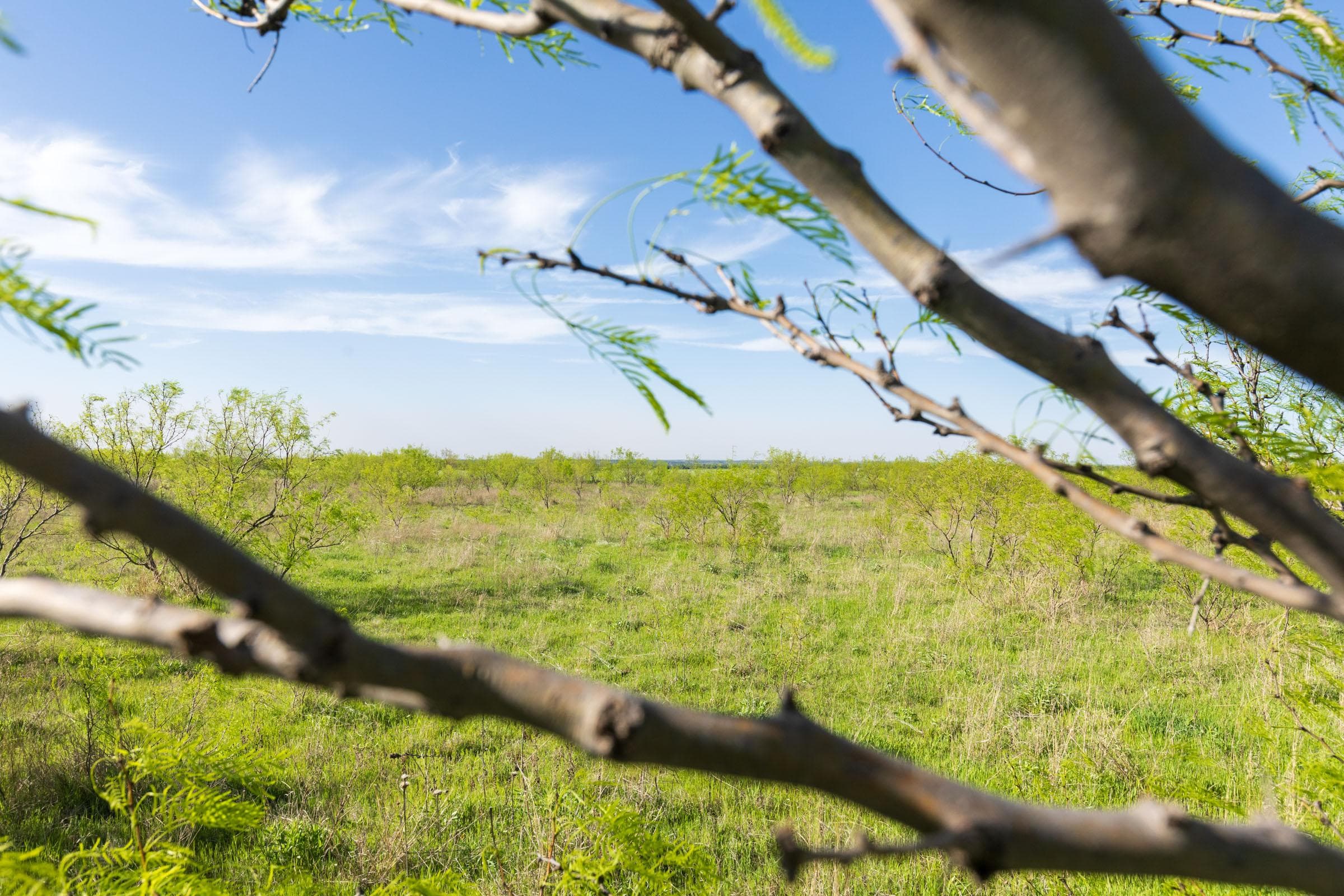 Hackberry Fields  — Zero Credit Land owner financed land for sale in Greer County, Oklahoma photo 59