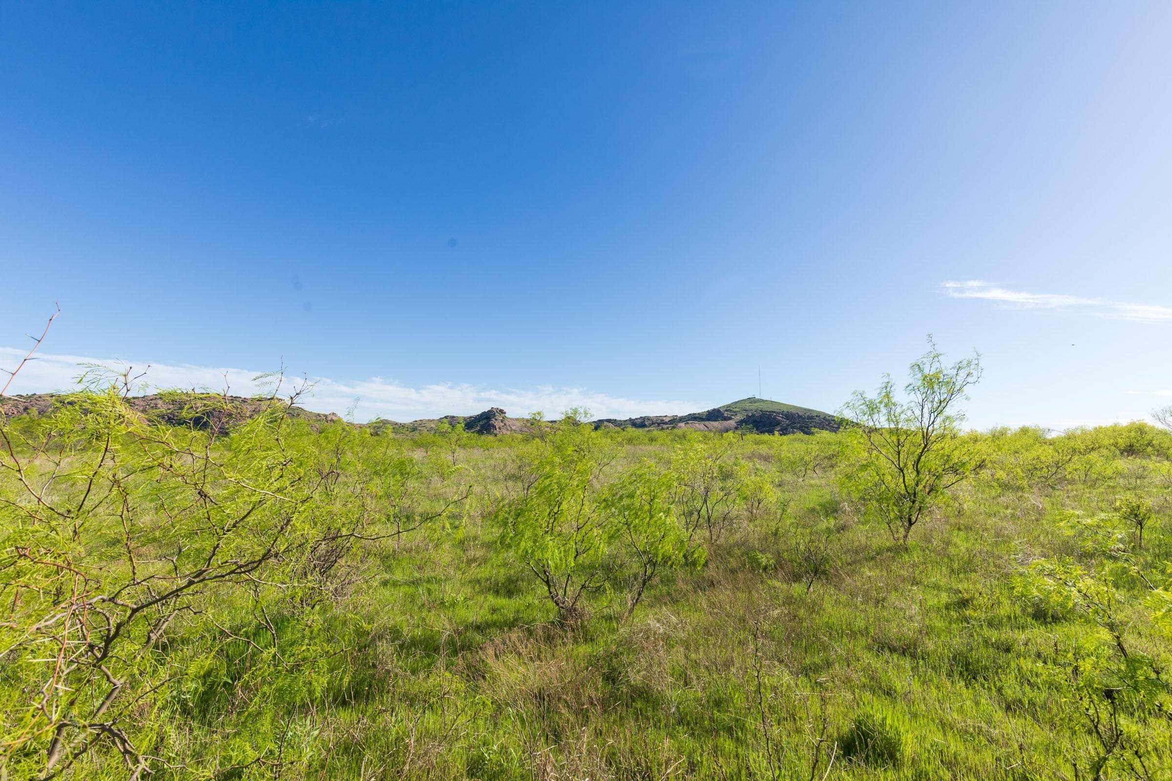 Hackberry Fields  — Zero Credit Land owner financed land for sale in Greer County, Oklahoma photo 60