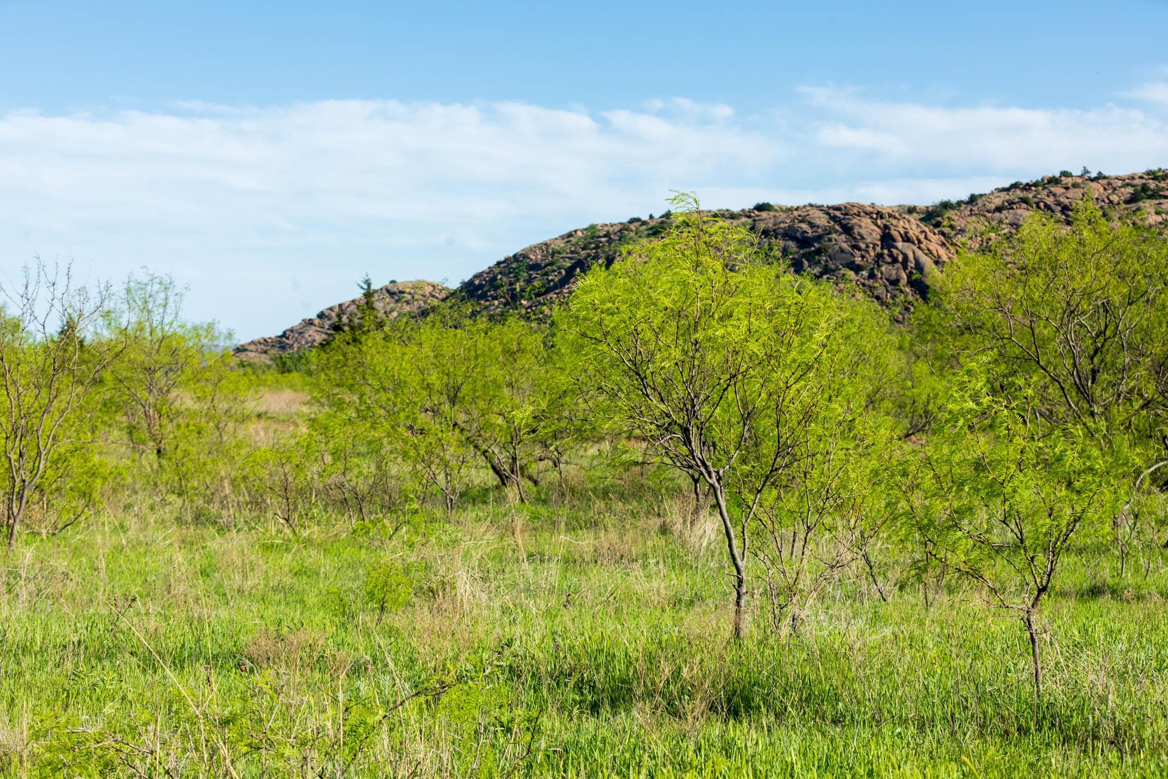 Hackberry Fields  — Zero Credit Land owner financed land for sale in Greer County, Oklahoma photo 65