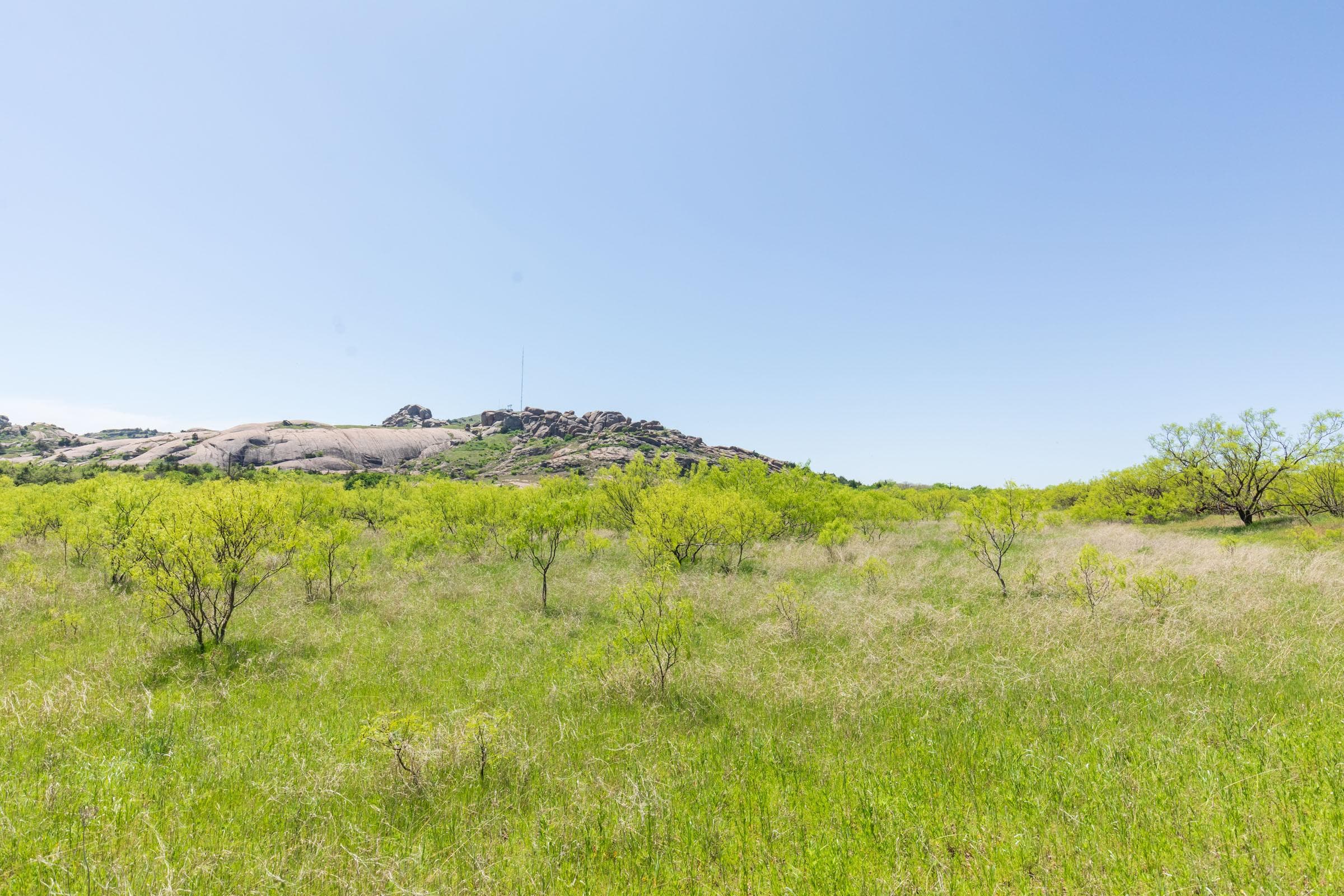 Hackberry Fields  — Zero Credit Land owner financed land for sale in Greer County, Oklahoma photo 55