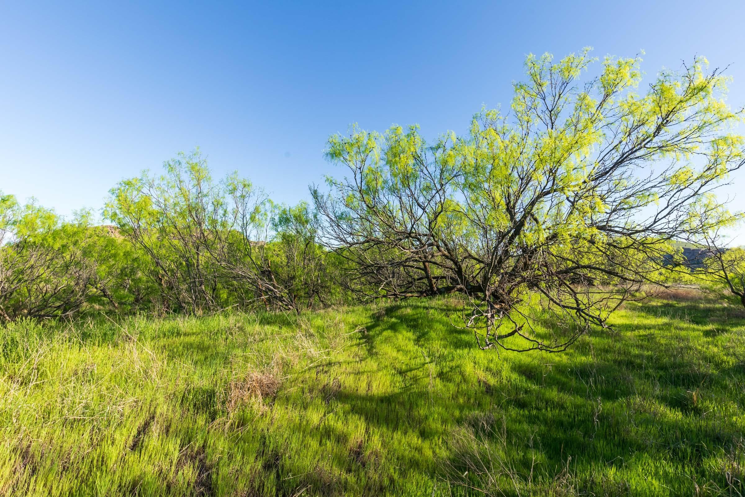 Hackberry Fields  — Zero Credit Land owner financed land for sale in Greer County, Oklahoma photo 75