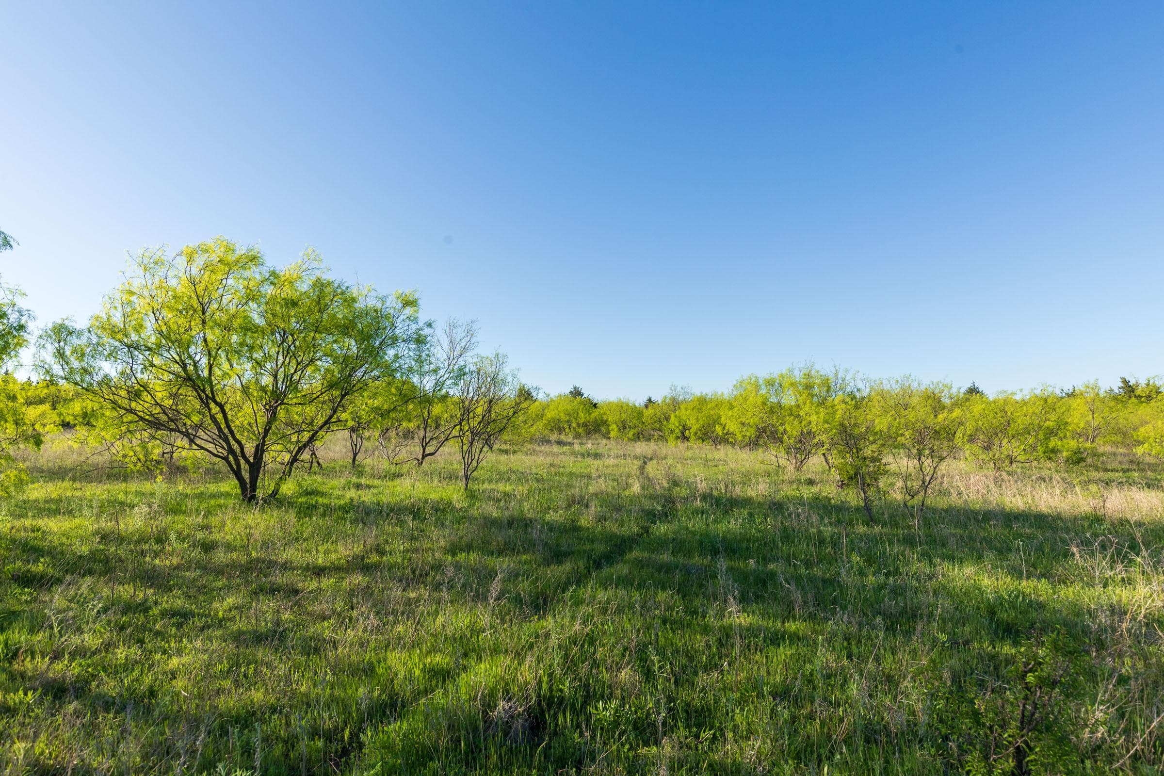 Hackberry Fields  — Zero Credit Land owner financed land for sale in Greer County, Oklahoma photo 73