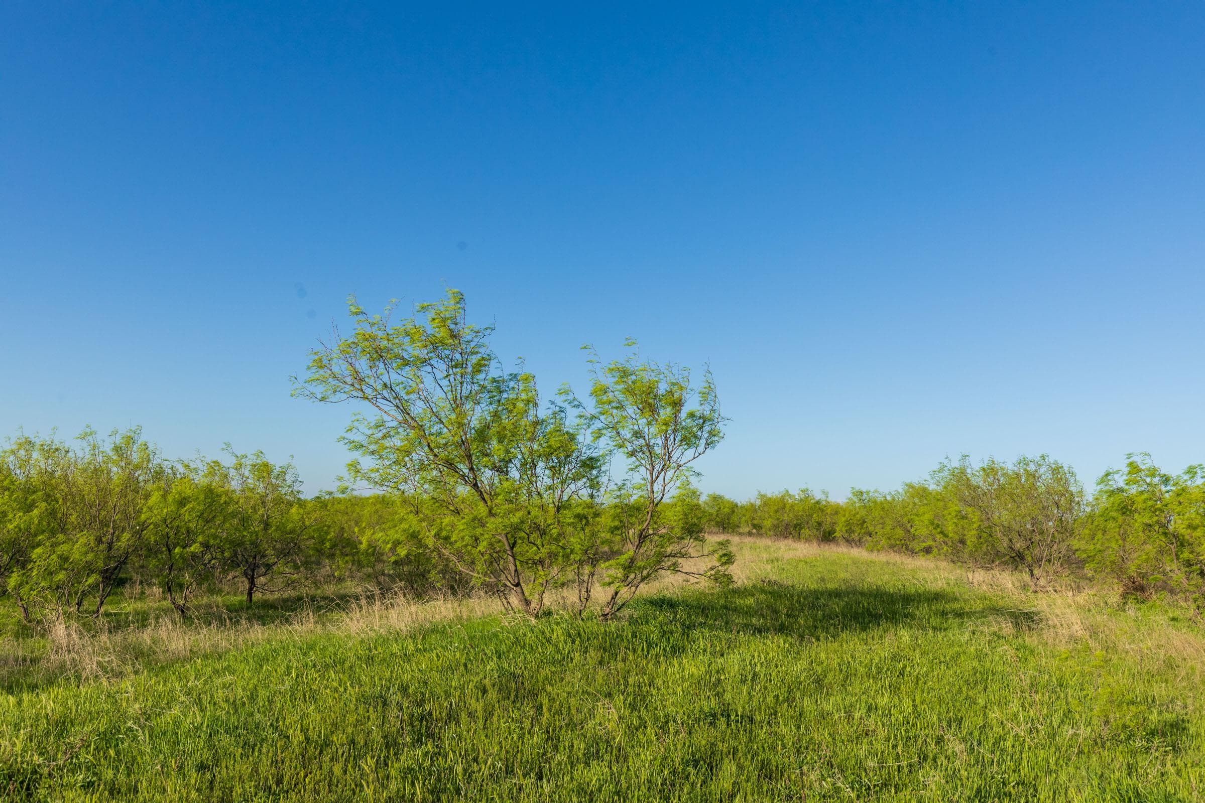 Hackberry Fields  — Zero Credit Land owner financed land for sale in Greer County, Oklahoma photo 67
