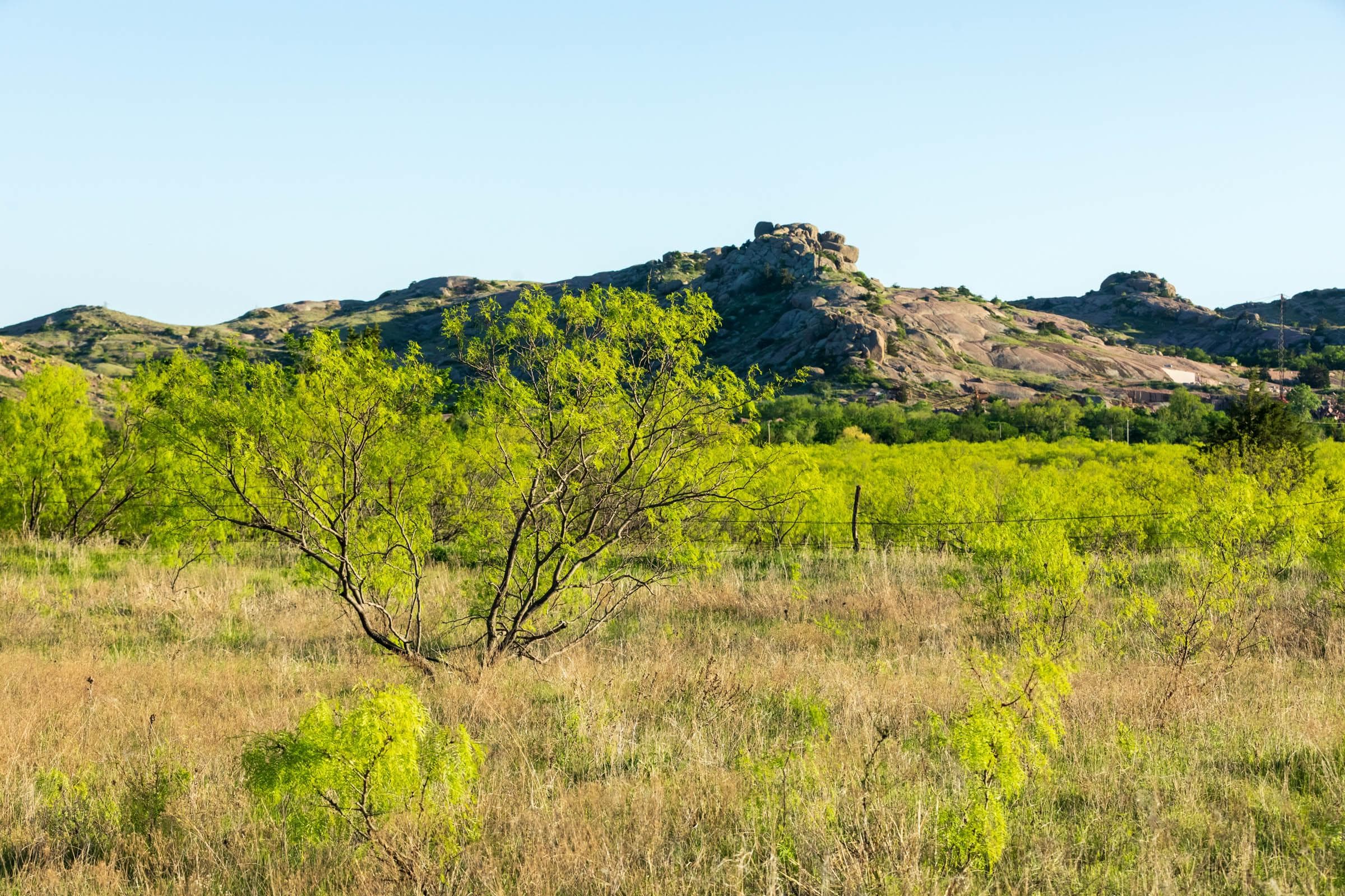 Hackberry Fields  — Zero Credit Land owner financed land for sale in Greer County, Oklahoma photo 71