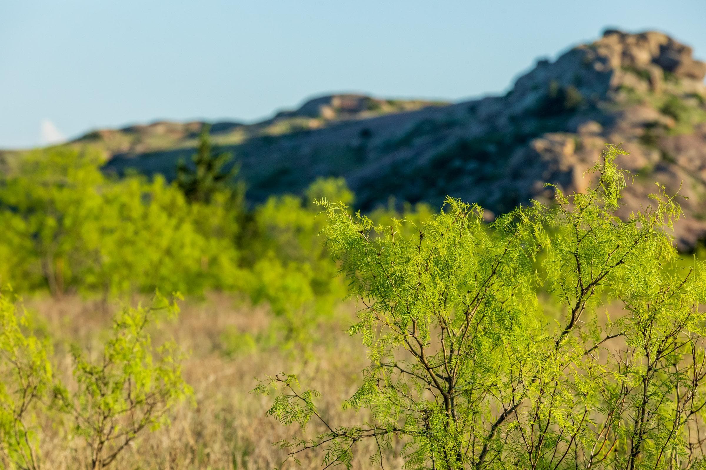 Hackberry Fields  — Zero Credit Land owner financed land for sale in Greer County, Oklahoma photo 68