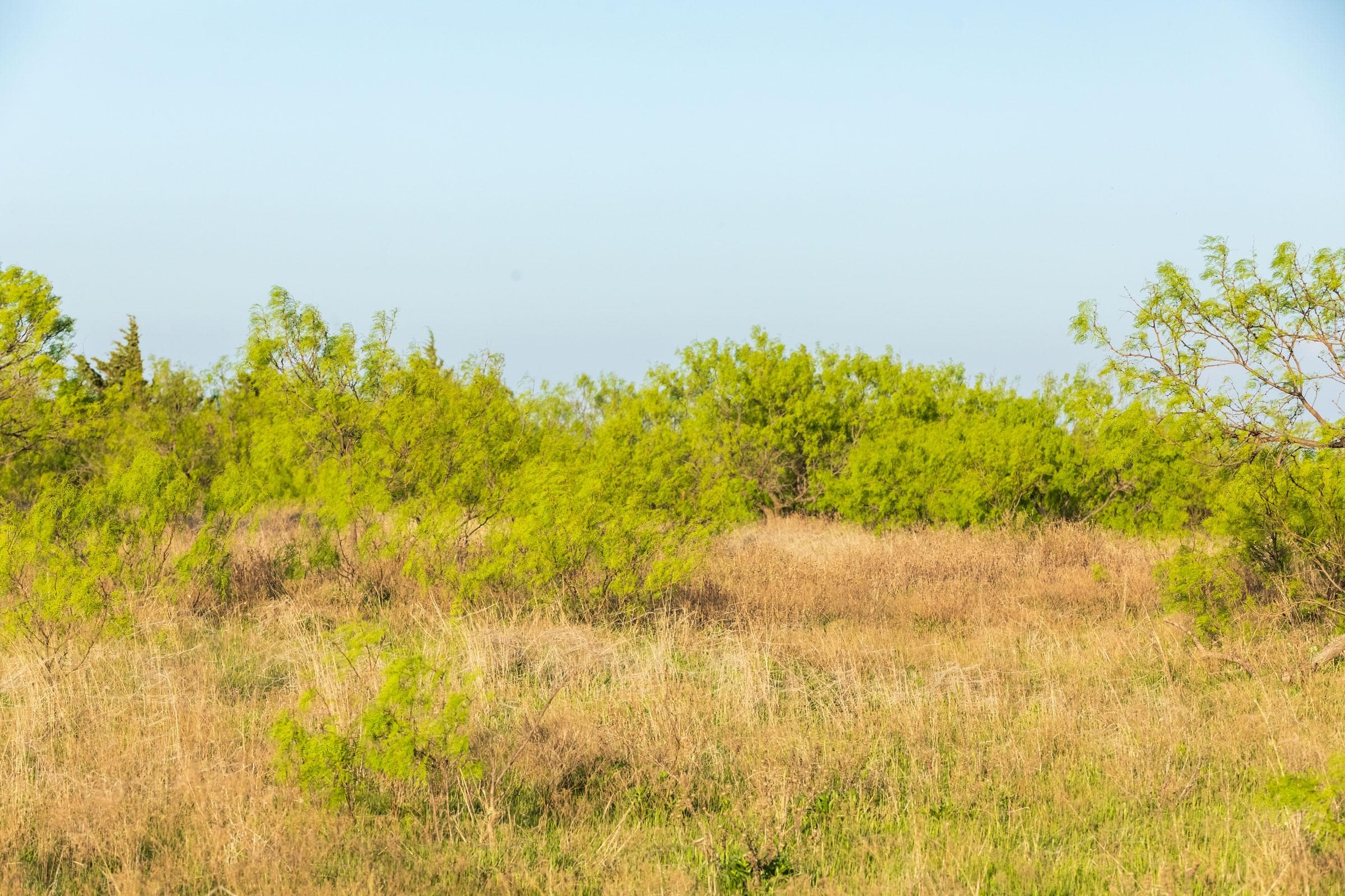 Hackberry Fields  — Zero Credit Land owner financed land for sale in Greer County, Oklahoma photo 69