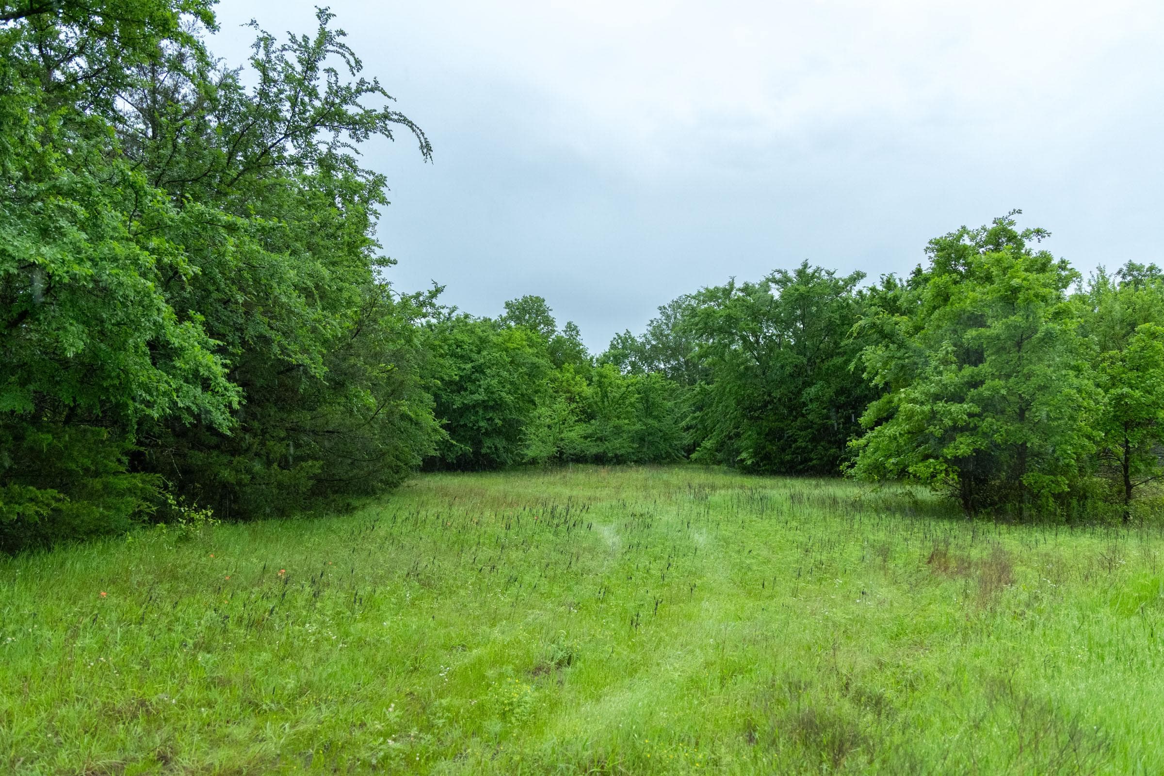 Harmony Hills — Zero Credit Land owner financed land for sale in Pittsburg County, Oklahoma photo 4