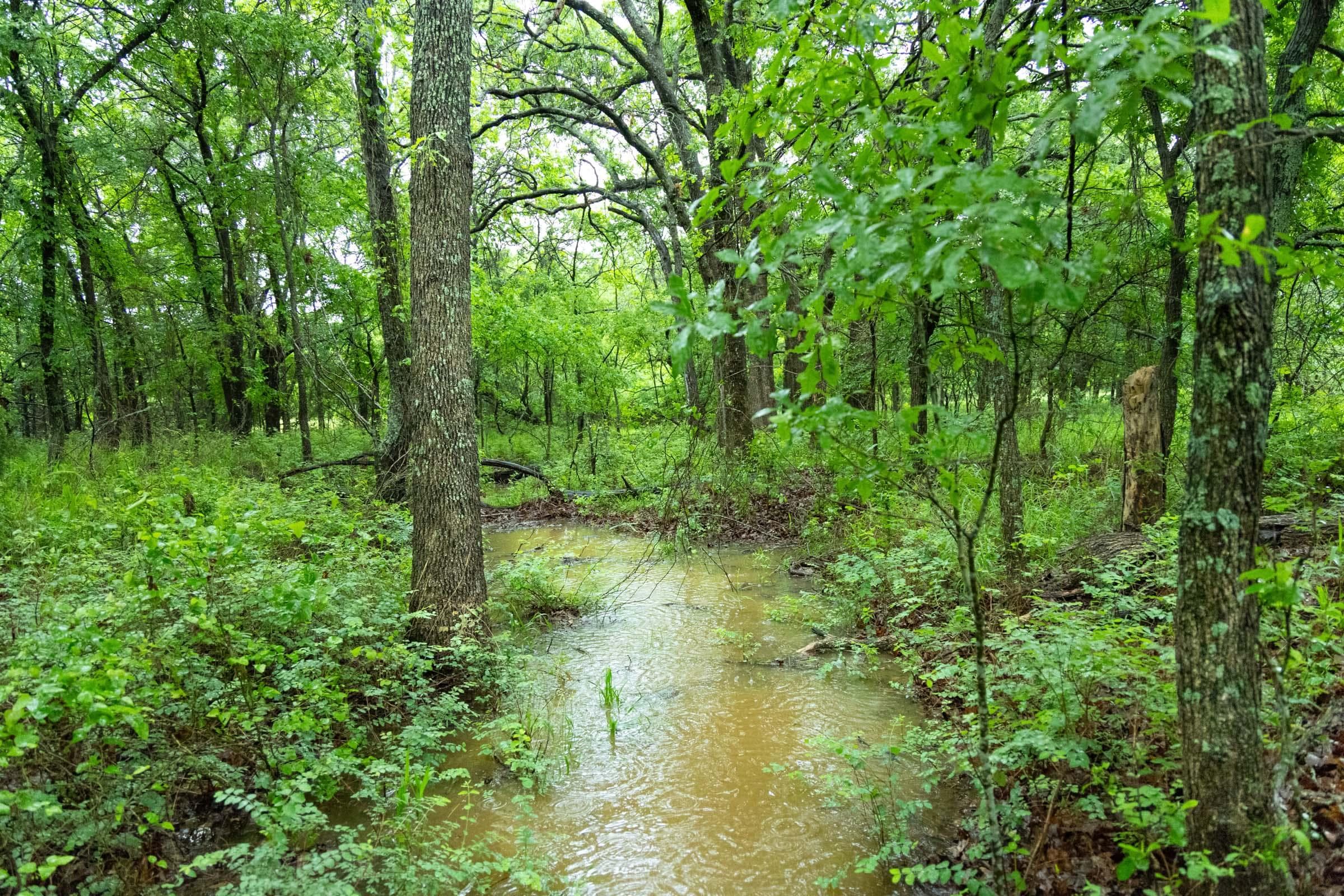 Harmony Hills — Zero Credit Land owner financed land for sale in Pittsburg County, Oklahoma photo 3