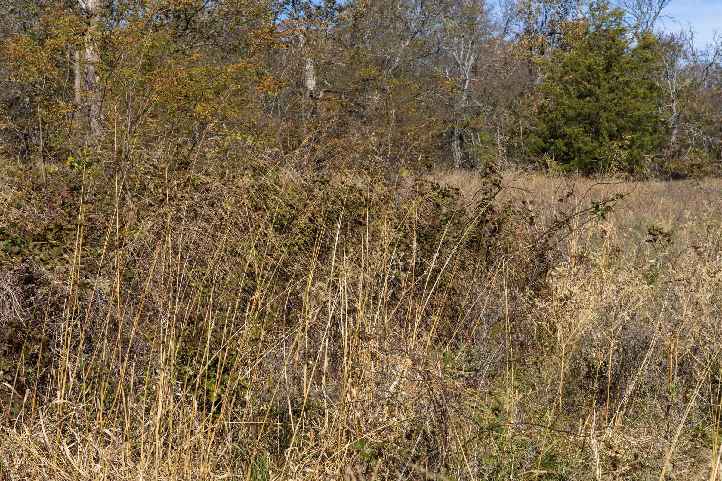 Harmony Hills — Zero Credit Land owner financed land for sale in Pittsburg County, Oklahoma photo 84