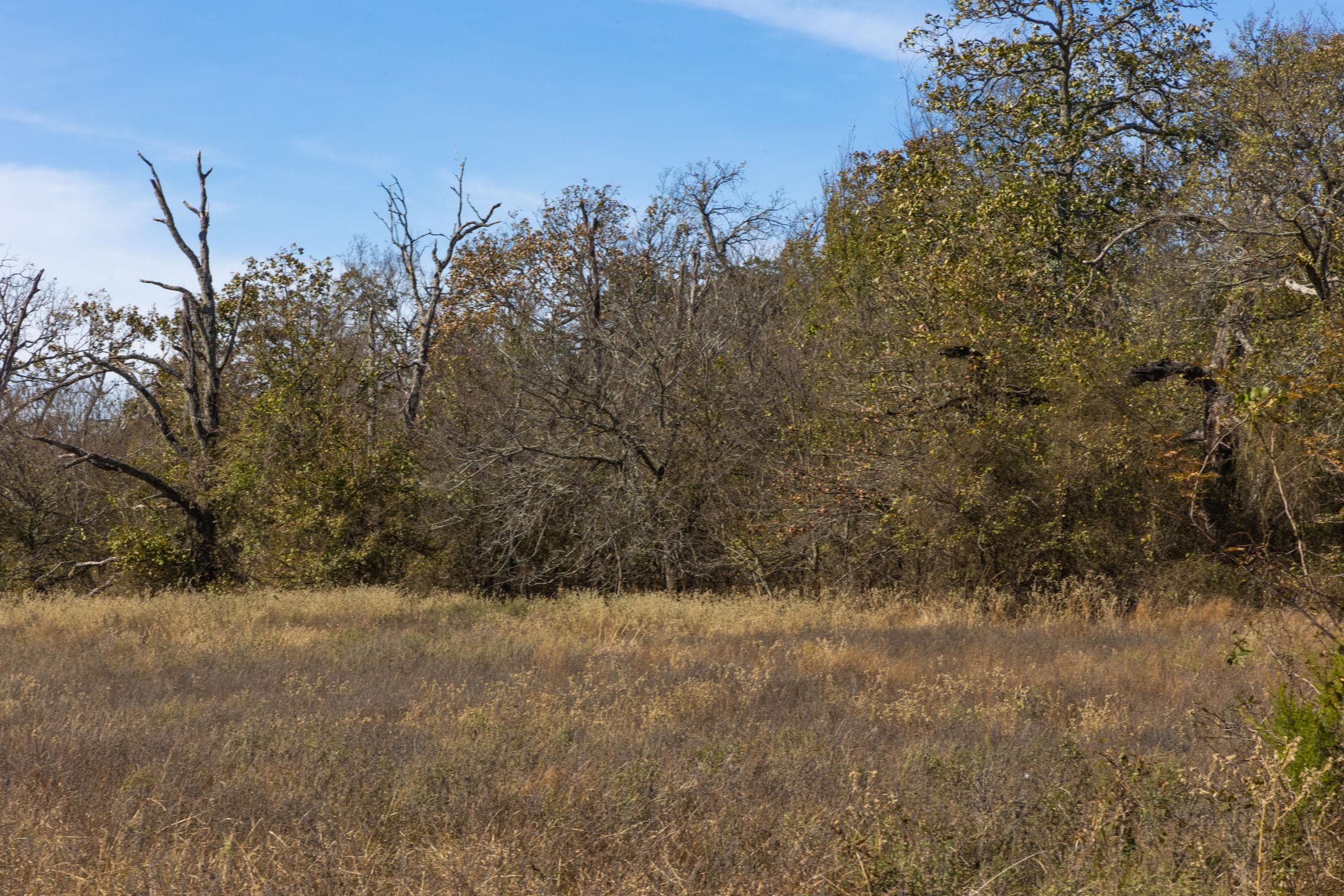Harmony Hills — Zero Credit Land owner financed land for sale in Pittsburg County, Oklahoma photo 86