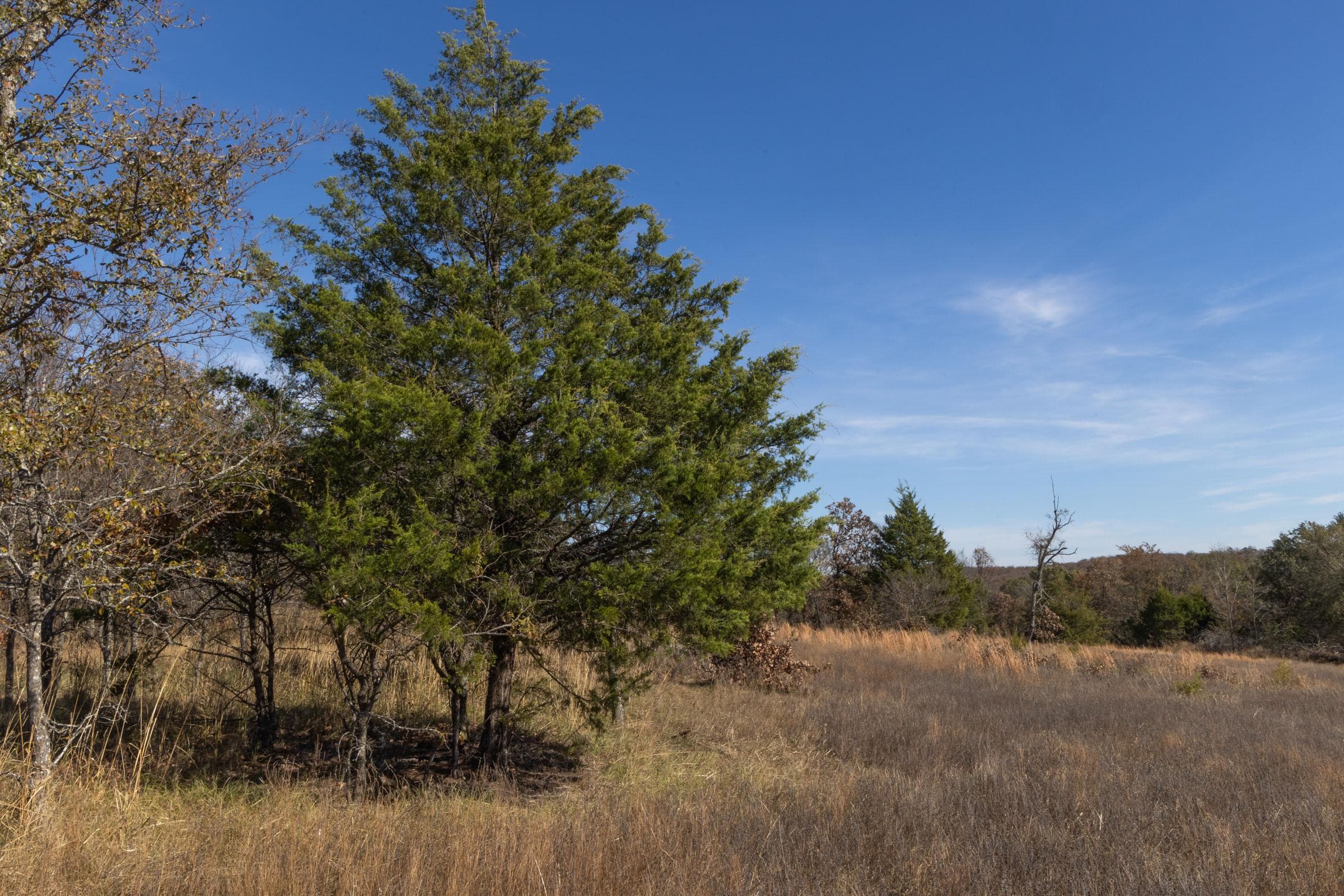 Harmony Hills — Zero Credit Land owner financed land for sale in Pittsburg County, Oklahoma photo 85