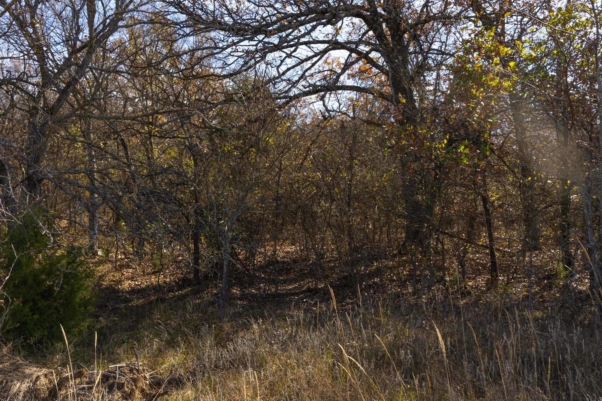 Harmony Hills — Zero Credit Land owner financed land for sale in Pittsburg County, Oklahoma photo 51
